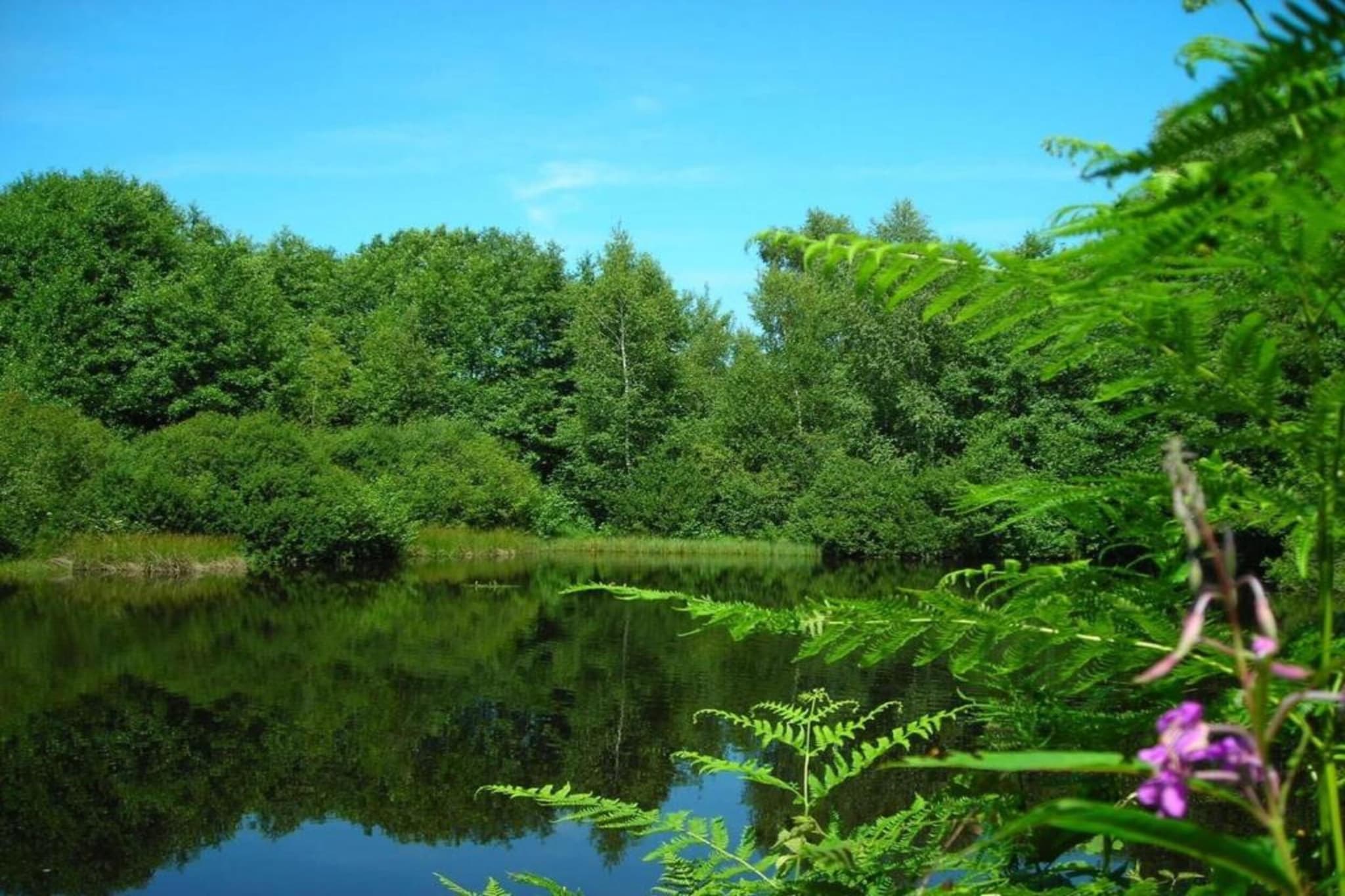 Maison de vacances - ESMOULIÈRES-Gebieden zomer 5km