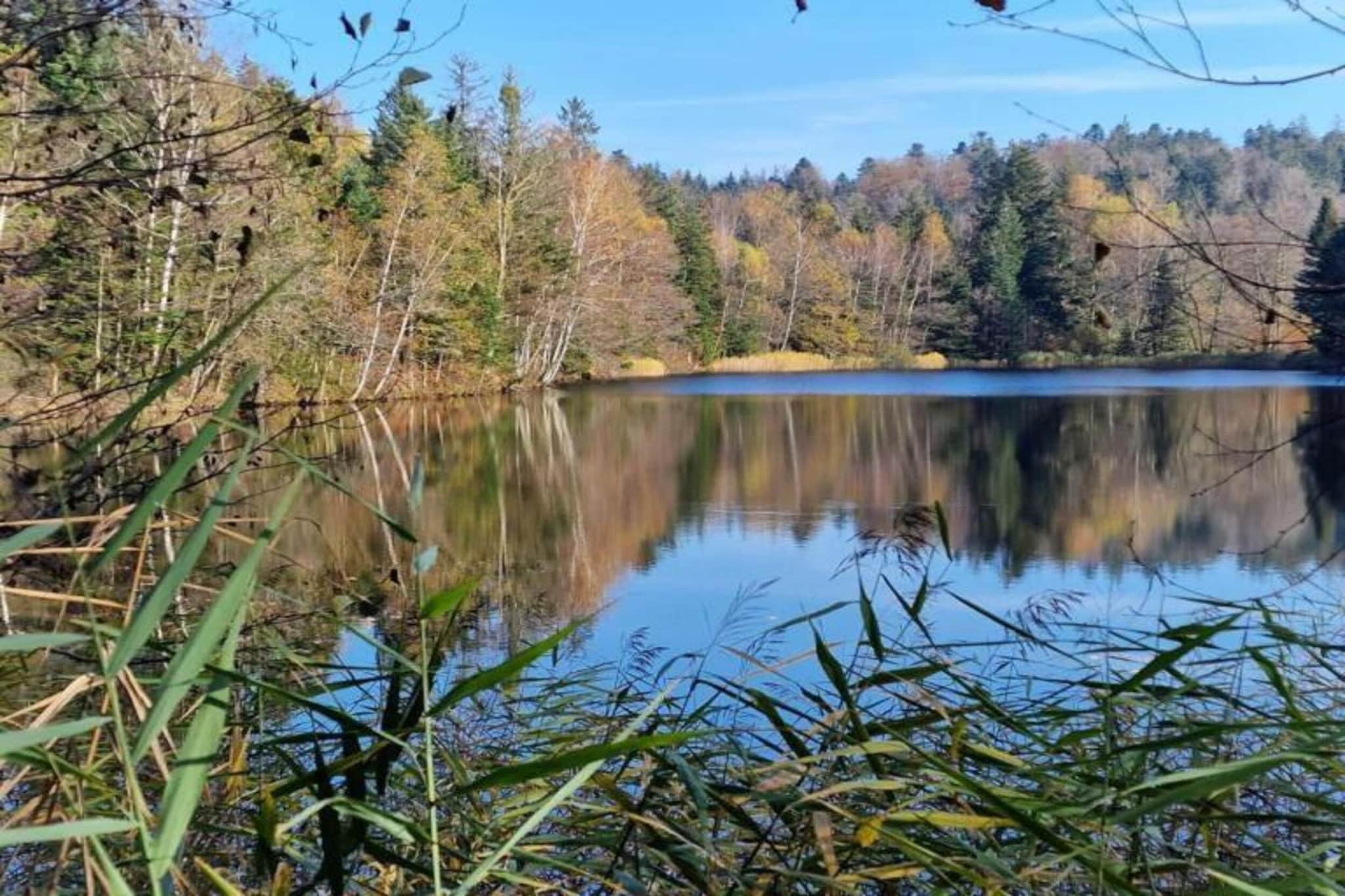 Maison de vacances - ESMOULIÈRES-Gebieden zomer 5km