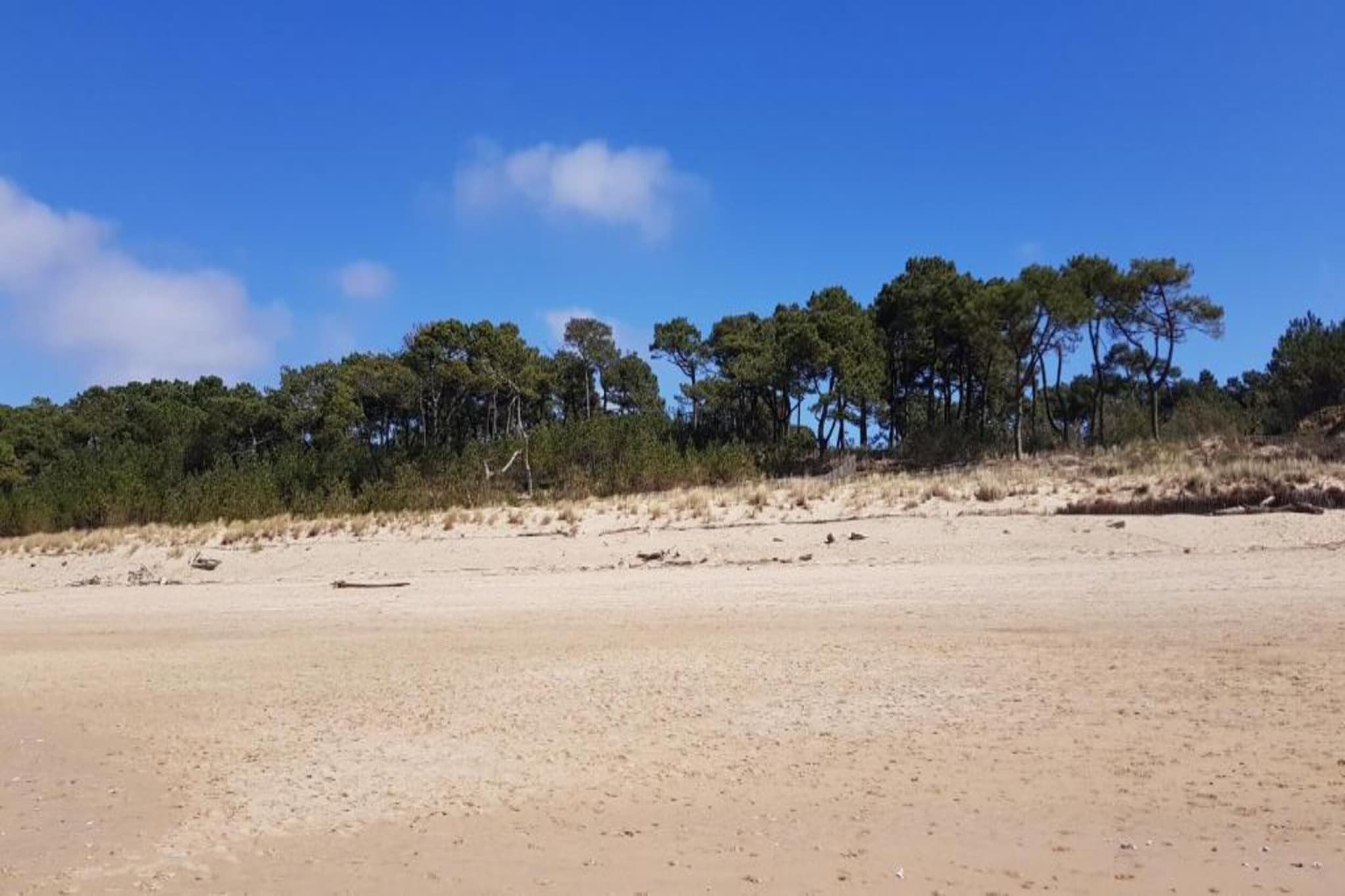 Maison de vacances Salles de Belvès-Gebieden zomer 20km