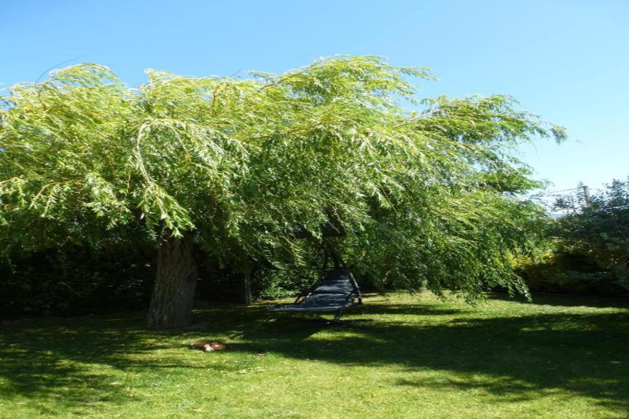 Maison de vacances Le Thor-Gebieden zomer 20km