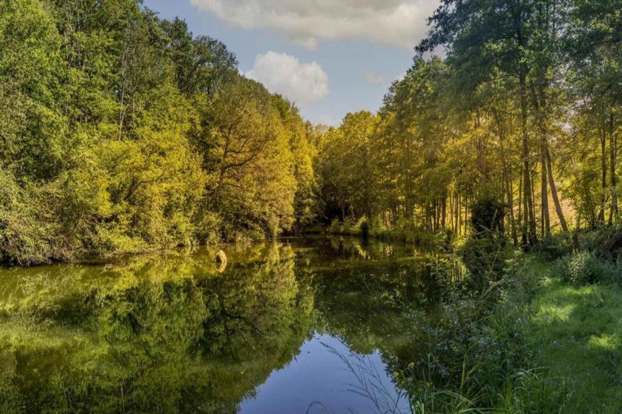 Maison de vacances - LA CHAPELLE-AUX-BOIS-Gebieden zomer 5km