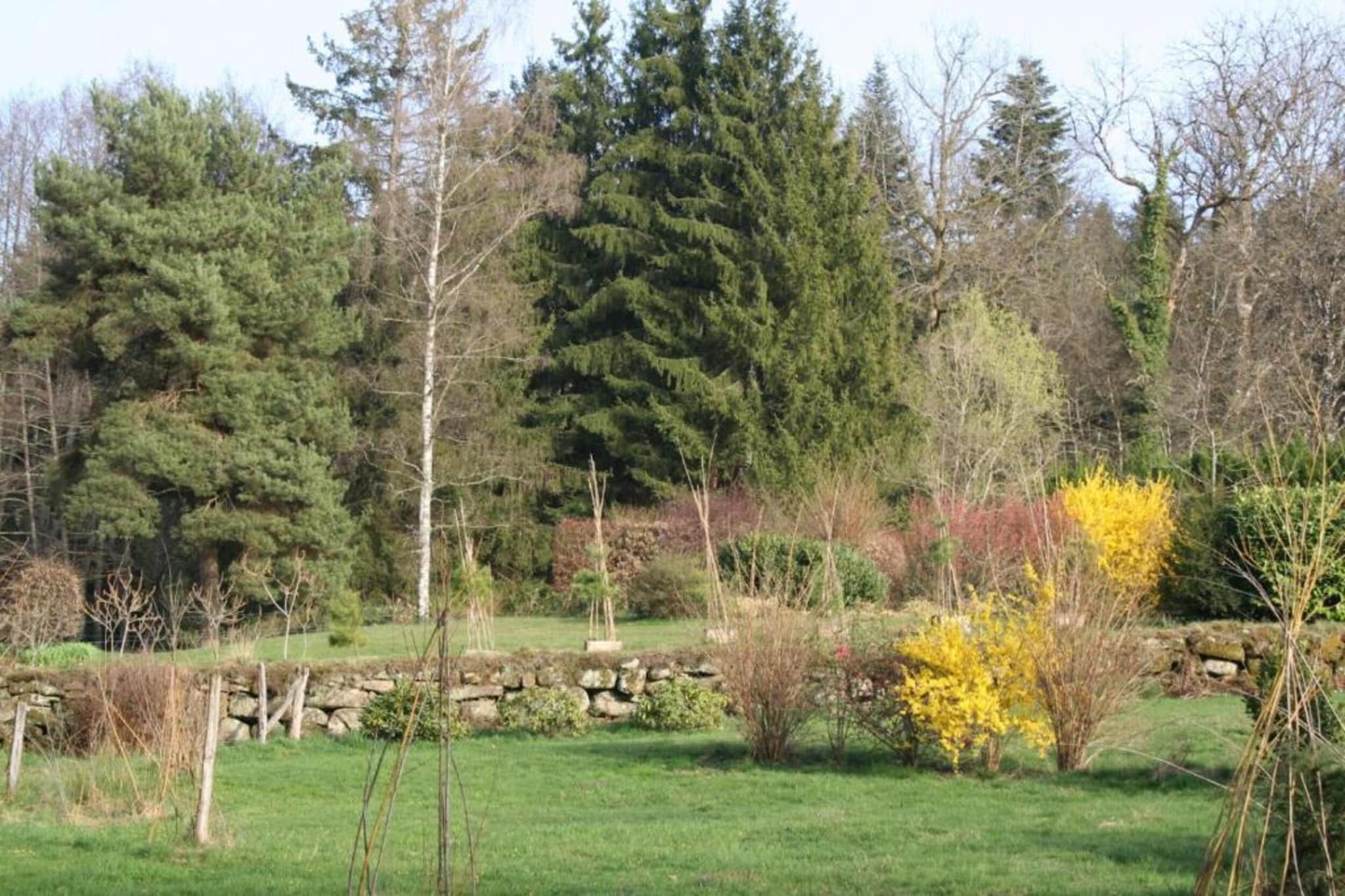 Maison de vacances - LA CHAPELLE-AUX-BOIS-Gebieden zomer 5km