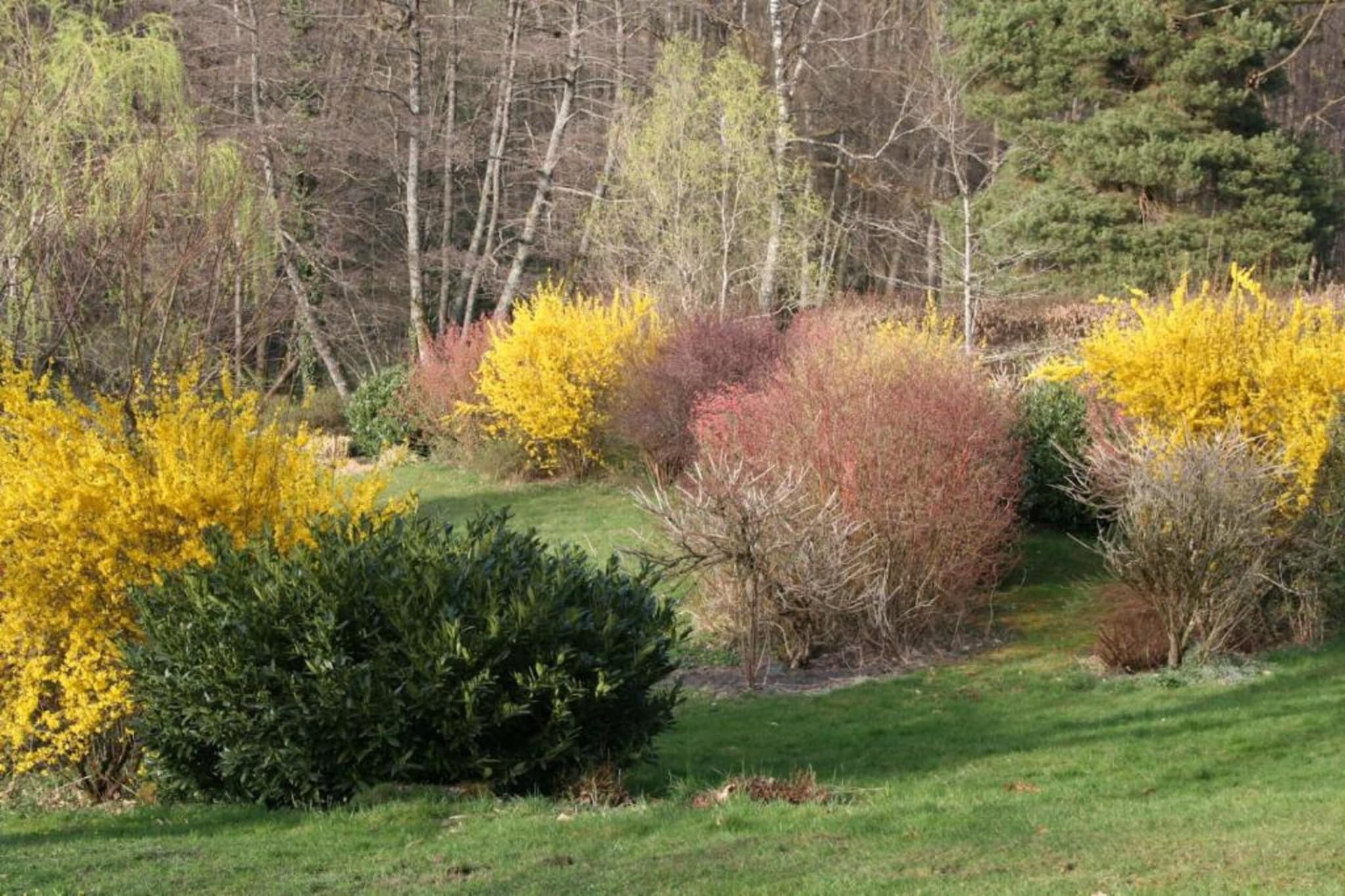 Maison de vacances - LA CHAPELLE-AUX-BOIS