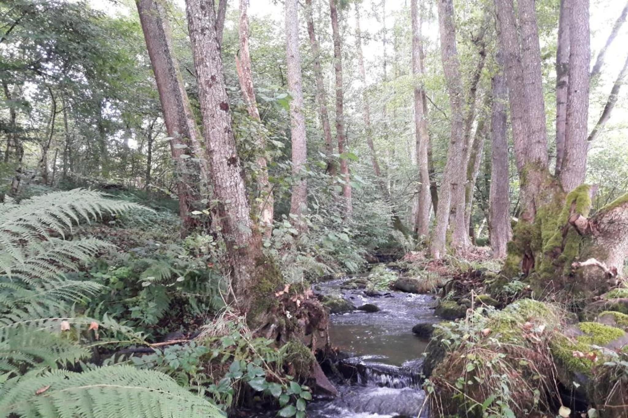 Maison de vacances - LA CHAPELLE-AUX-BOIS-Gebieden zomer 5km