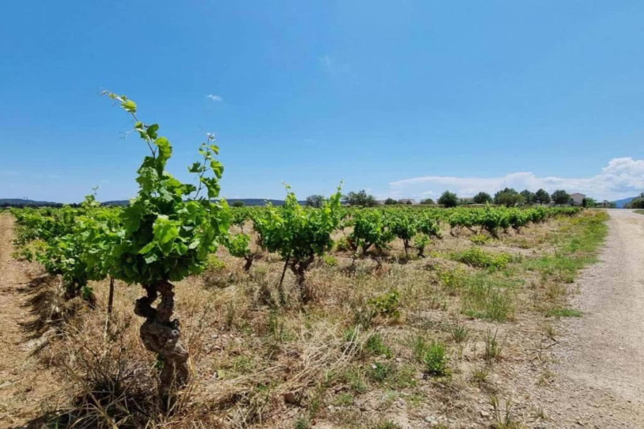 VILLA - FELINES MINERVOIS-Gebieden zomer 5km