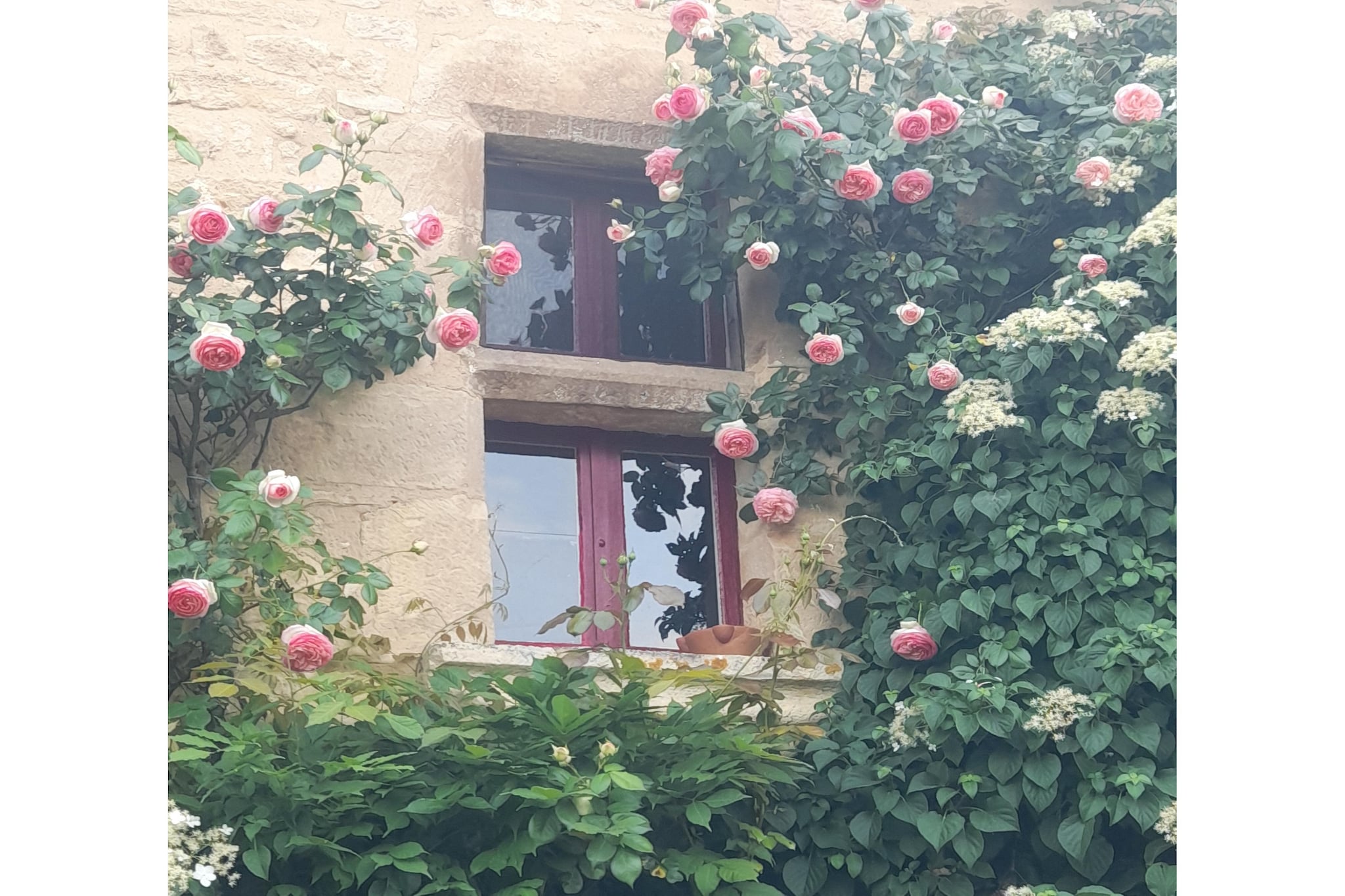 Maison de vacances St Jory las Bloux - Tuinen zomer