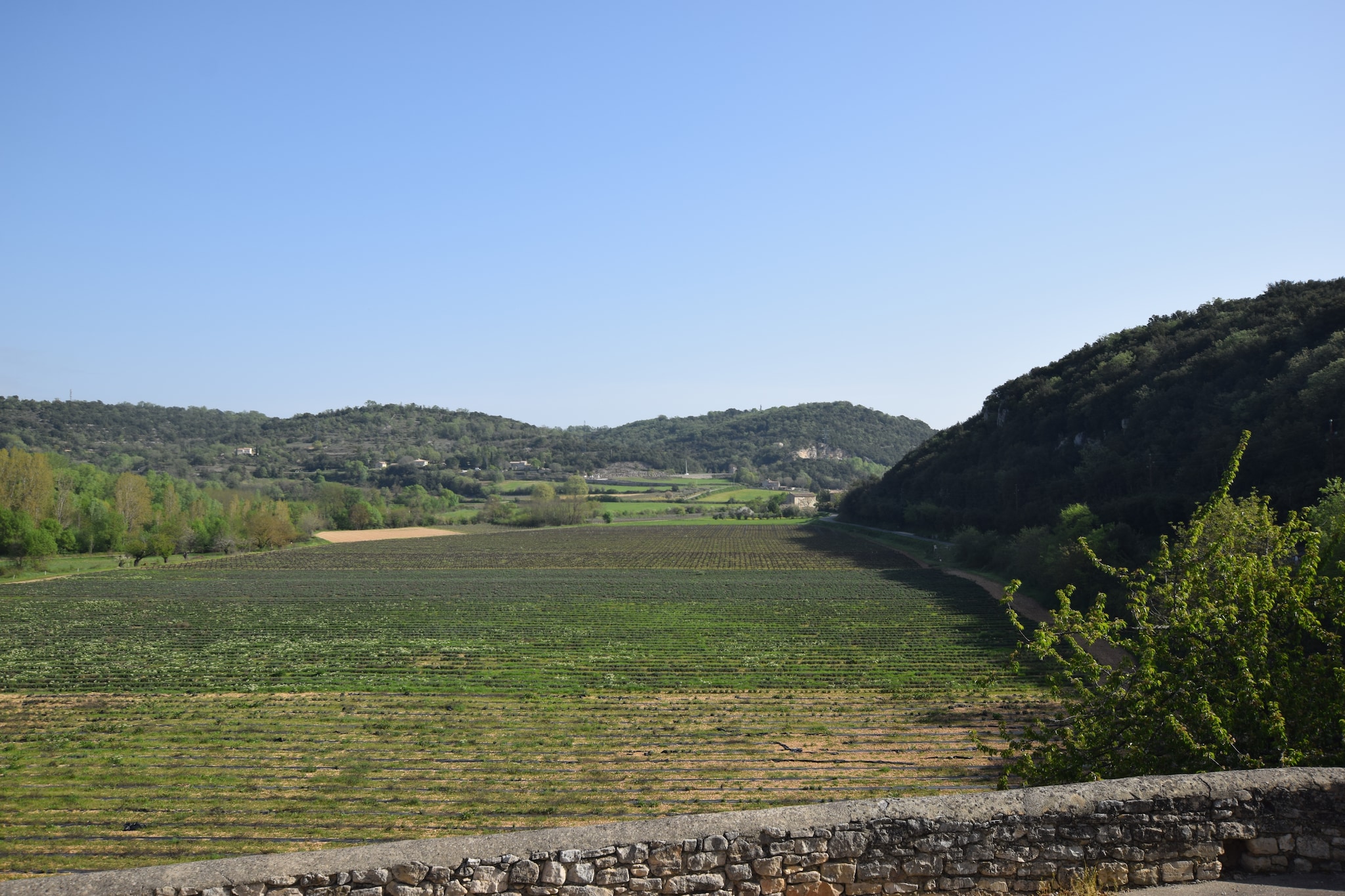 La Bise-Aussicht Sommer