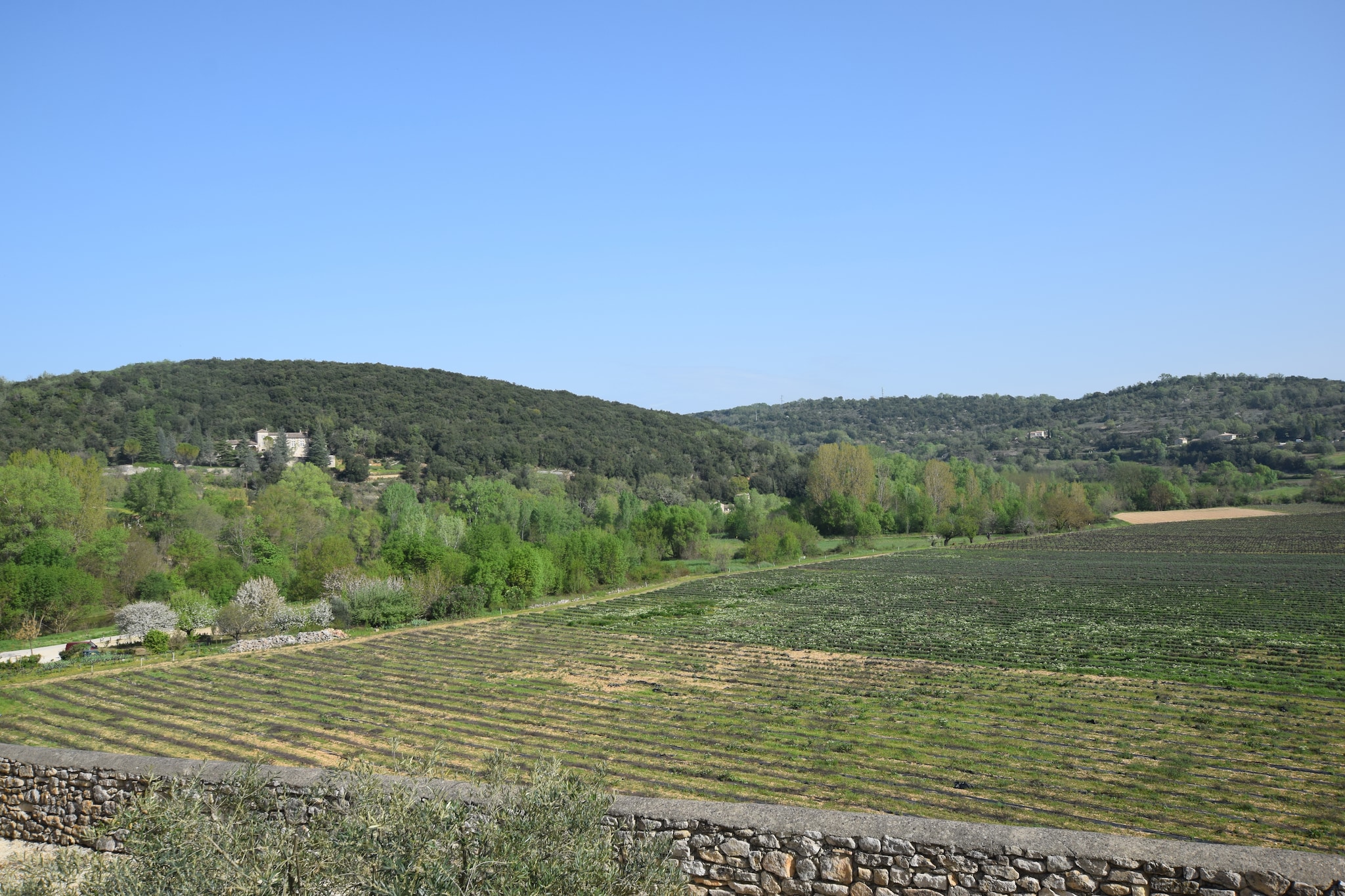 La Bise-Aussicht Sommer