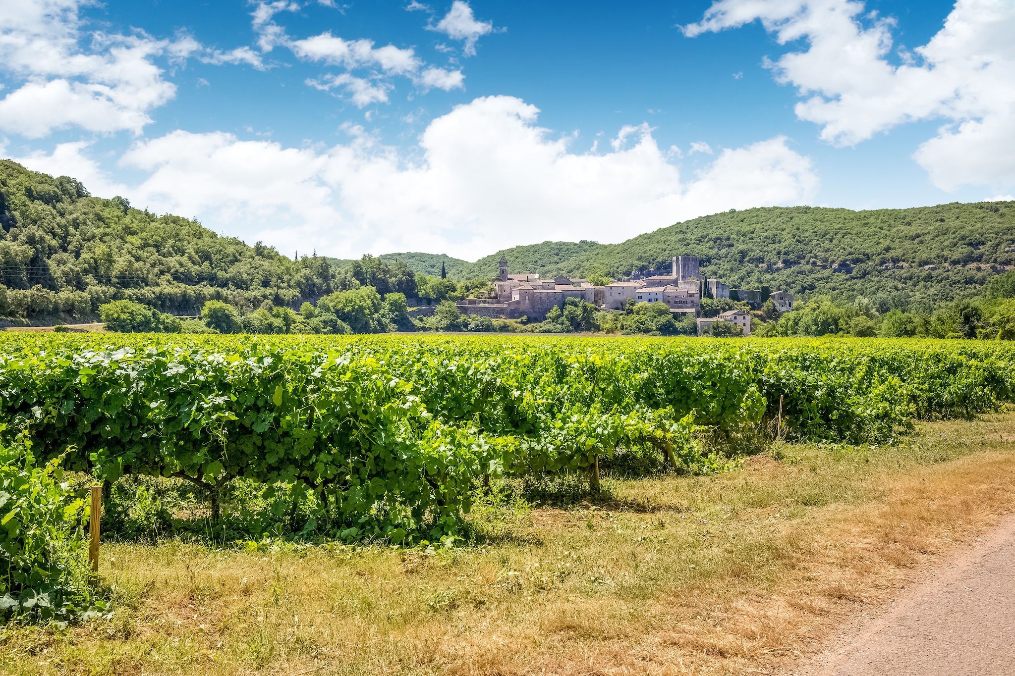 La Bise-Gebiete Sommer 1 km