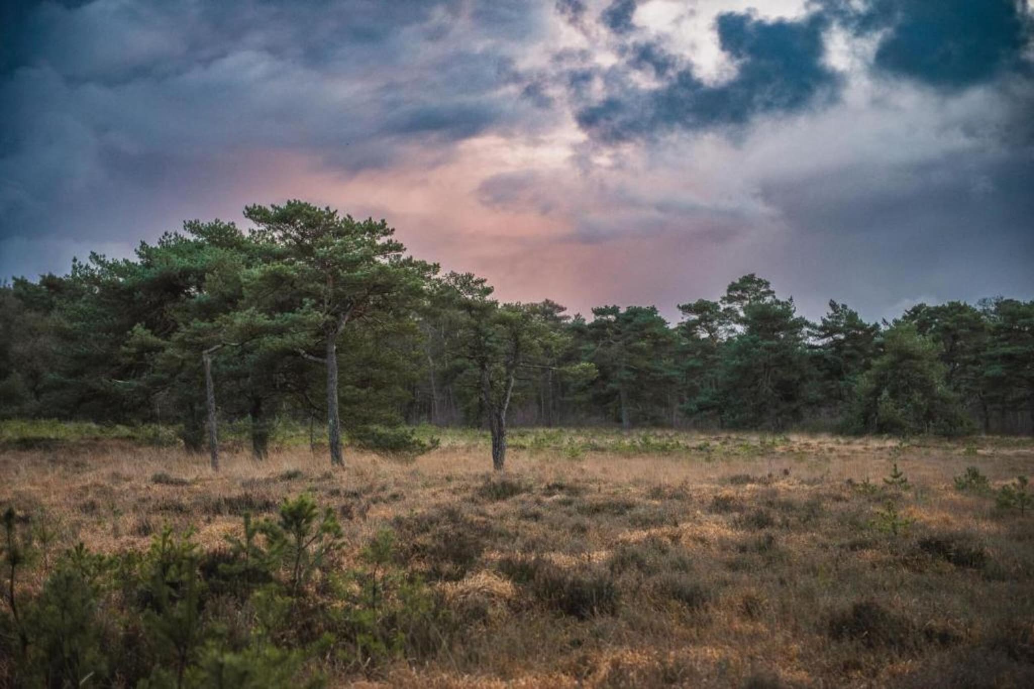 Maison mitoyenne dans un parc animalier proche mer-Gebieden zomer 20km