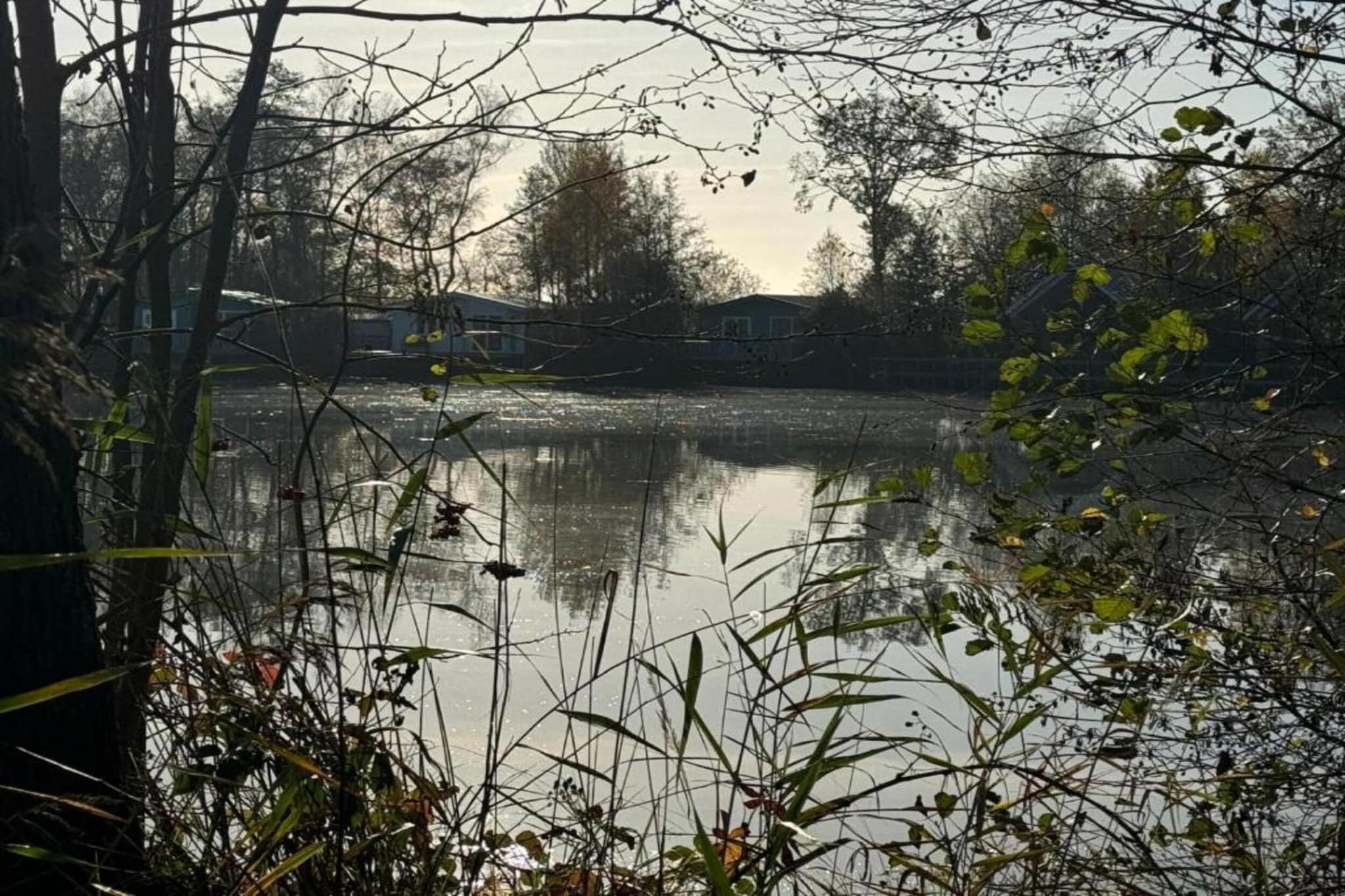 Maison mitoyenne dans un parc animalier proche mer-Gebieden zomer 20km