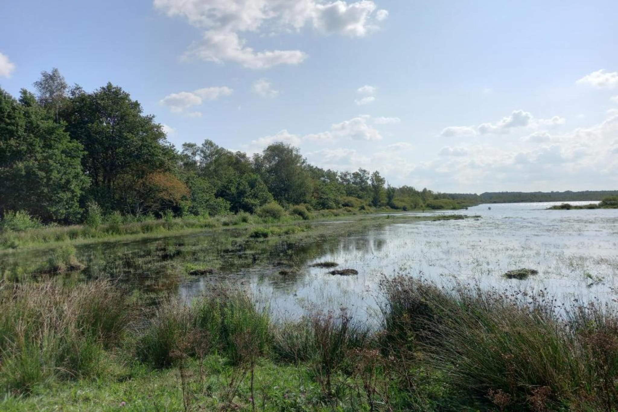 Maison mitoyenne dans un parc animalier proche mer-Gebieden zomer 20km