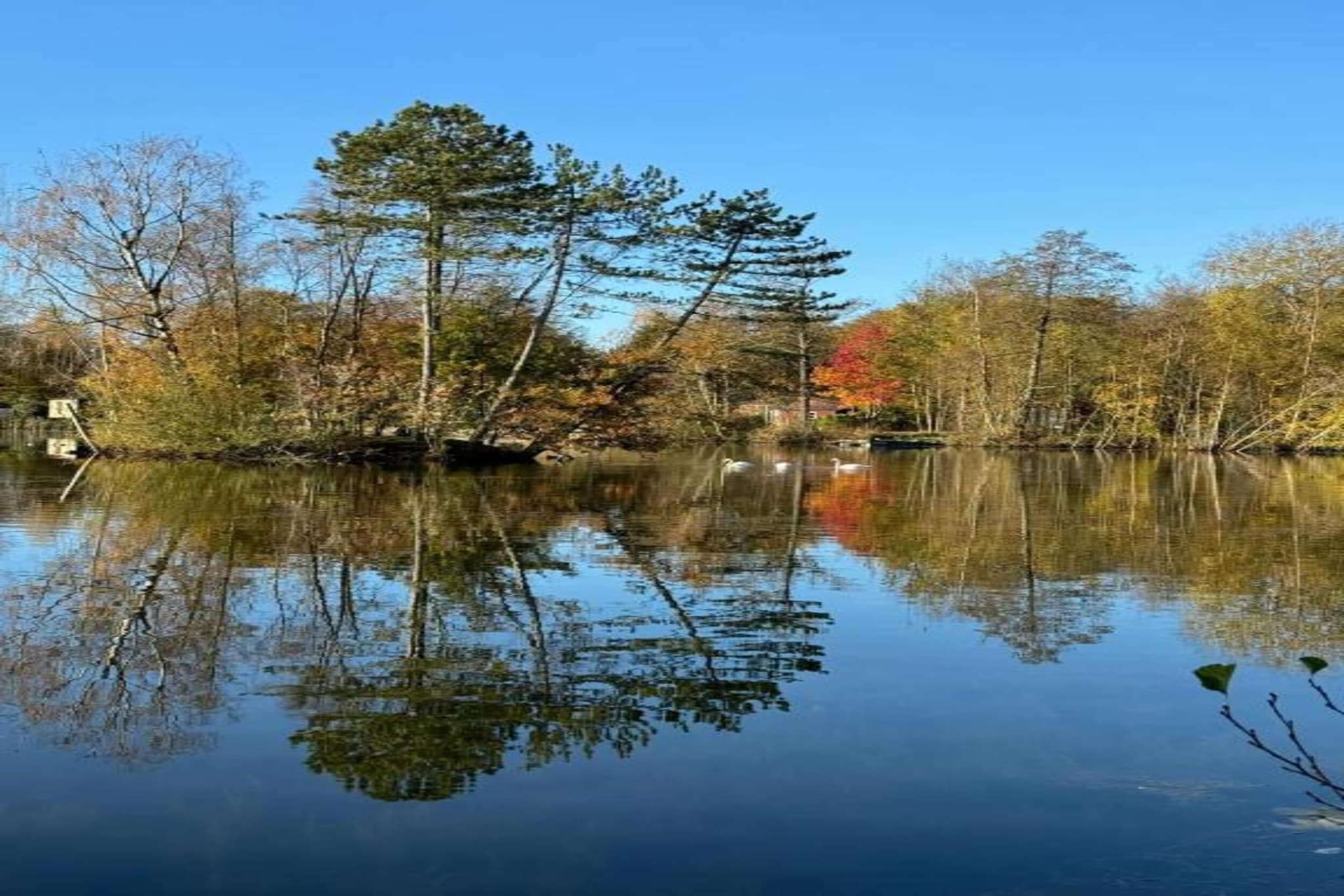 Maison mitoyenne dans un parc animalier proche mer-Gebieden zomer 20km