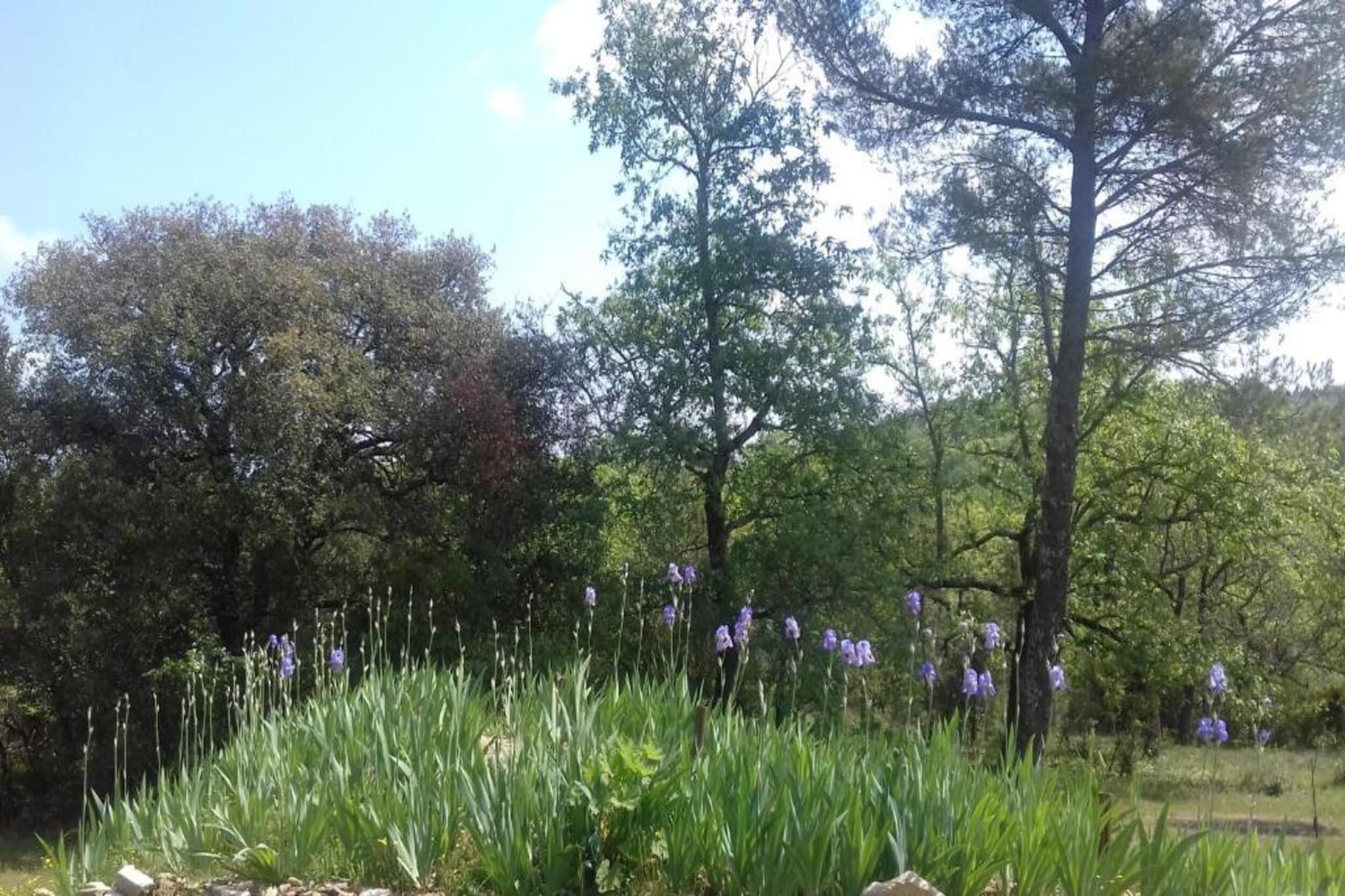 Les Chênes- SAINT-BRÈS-Gebieden zomer 20km