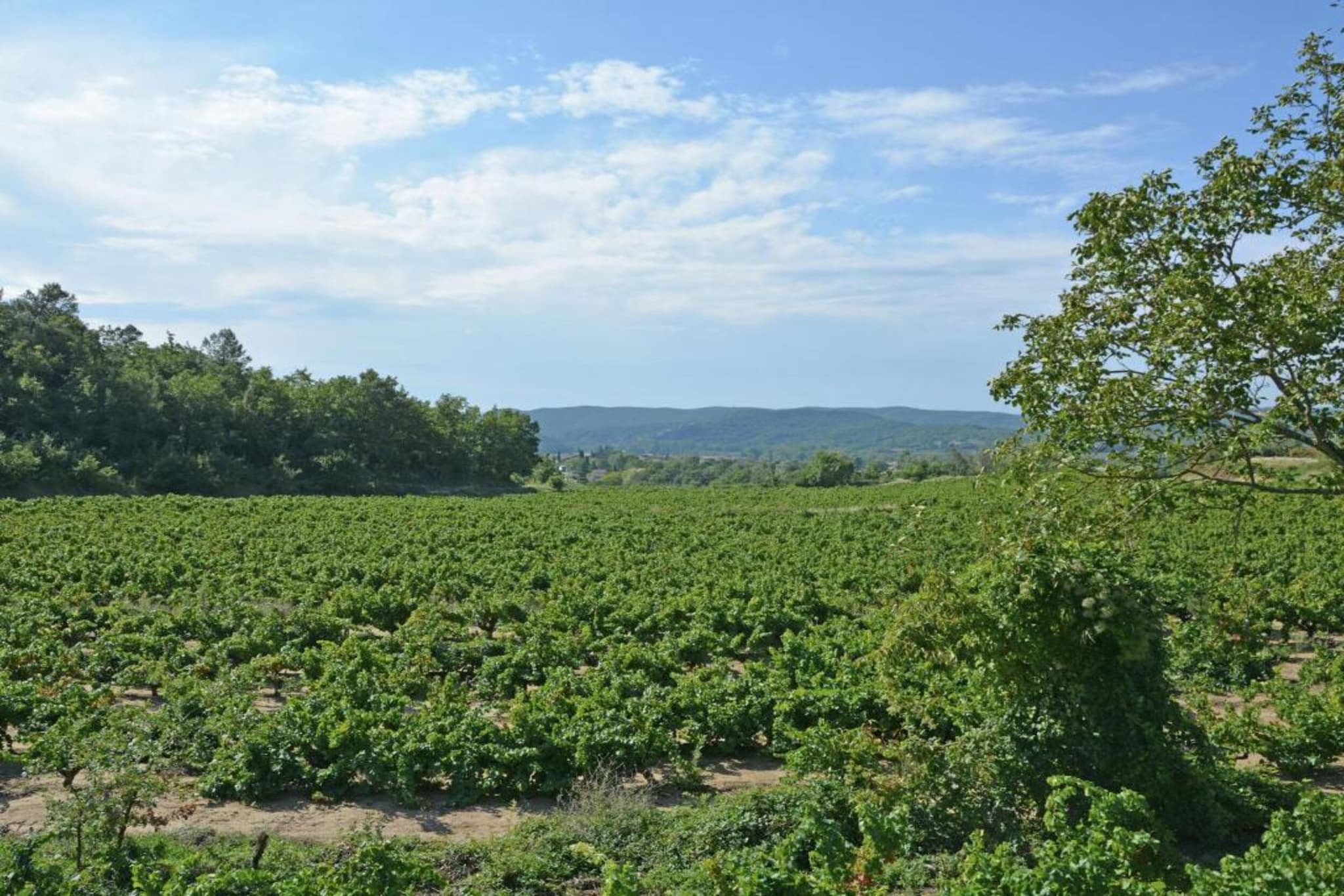 Les Chênes- SAINT-BRÈS-Gebieden zomer 20km