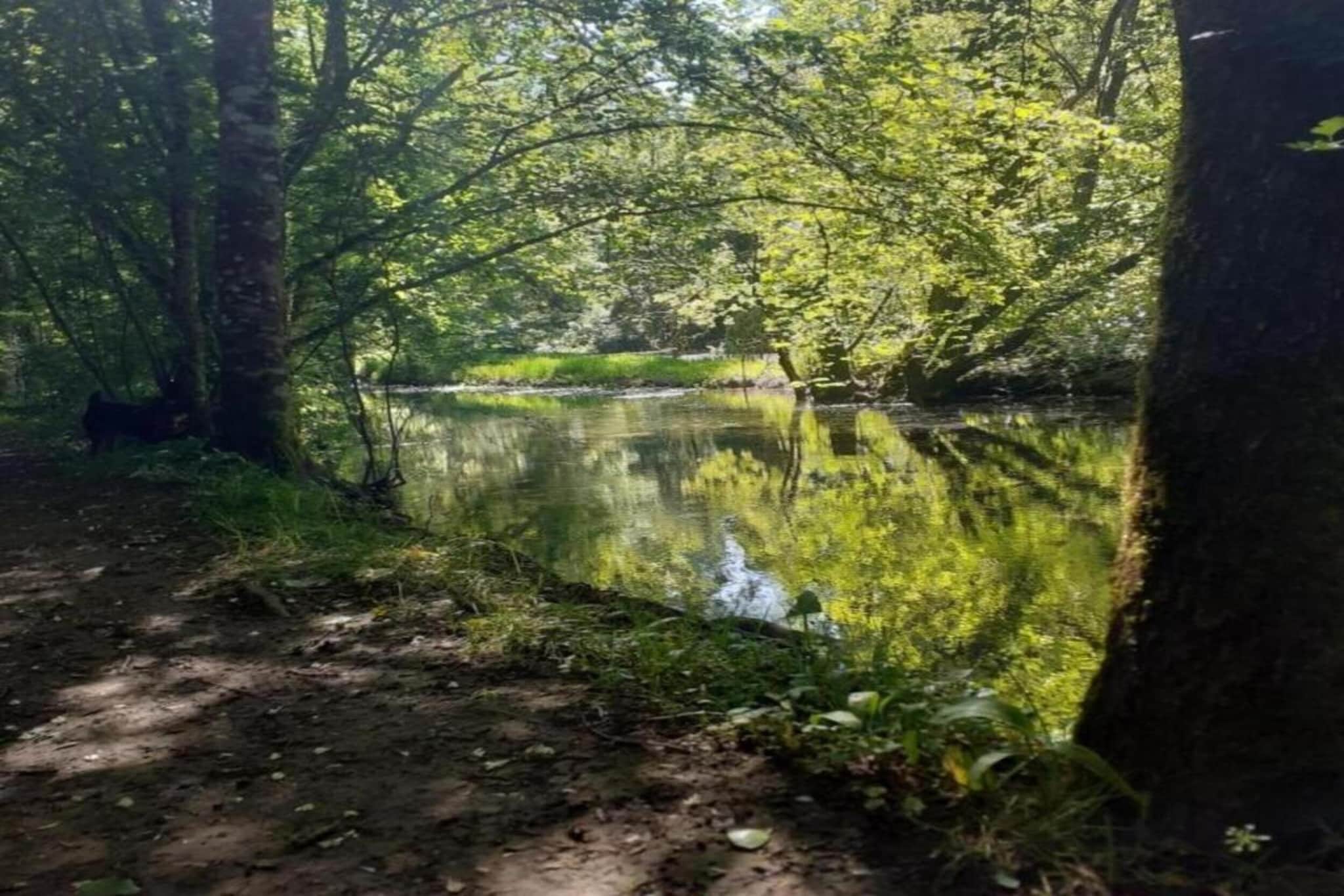 Maison fabuleuse-Gebieden zomer 20km