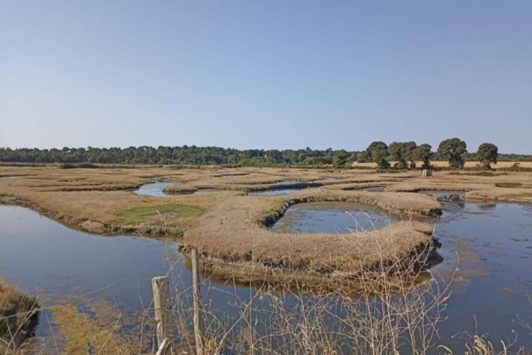 Maison vacances chaleureuse proche de la plage-Gebieden zomer 20km