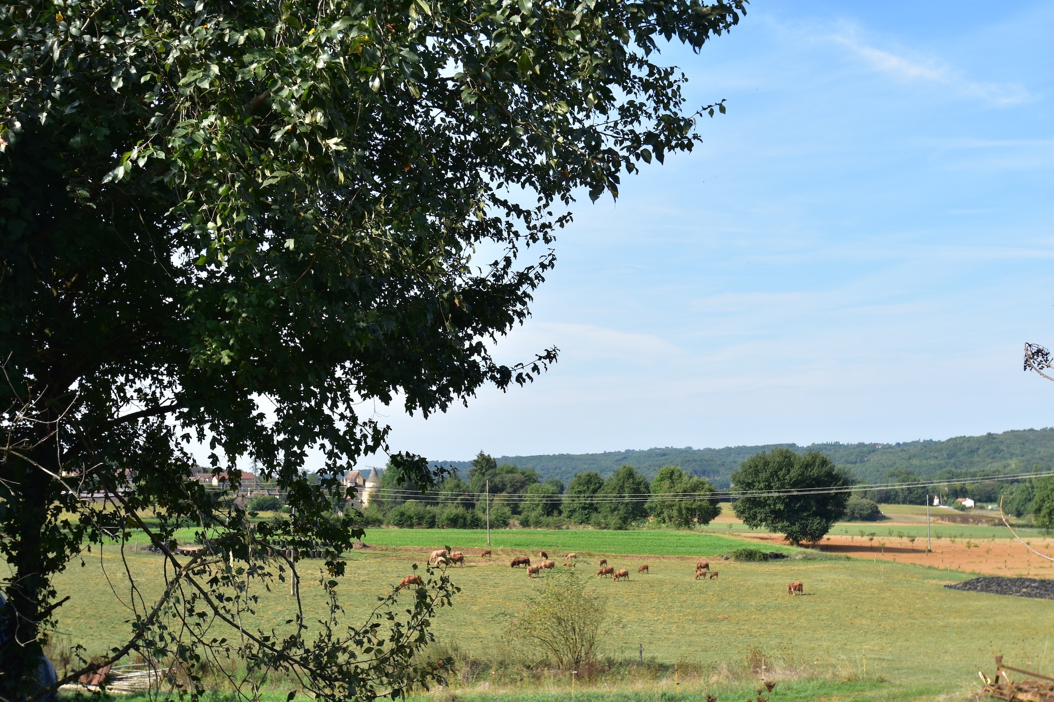 Cosy holiday home with barbecue in Aquitaine