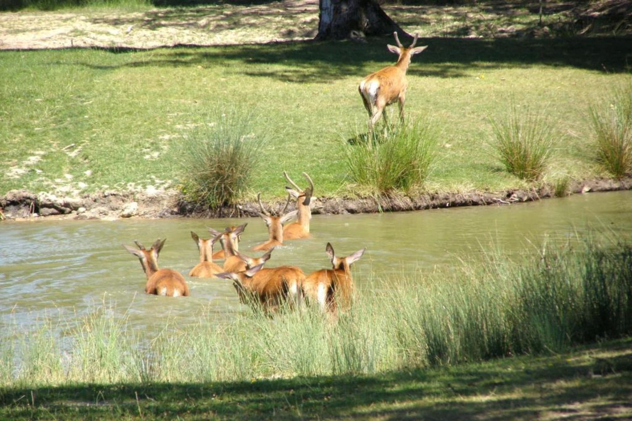 Maison de vacances - CHILLEURS-AUX-BOIS-Gebieden zomer 20km
