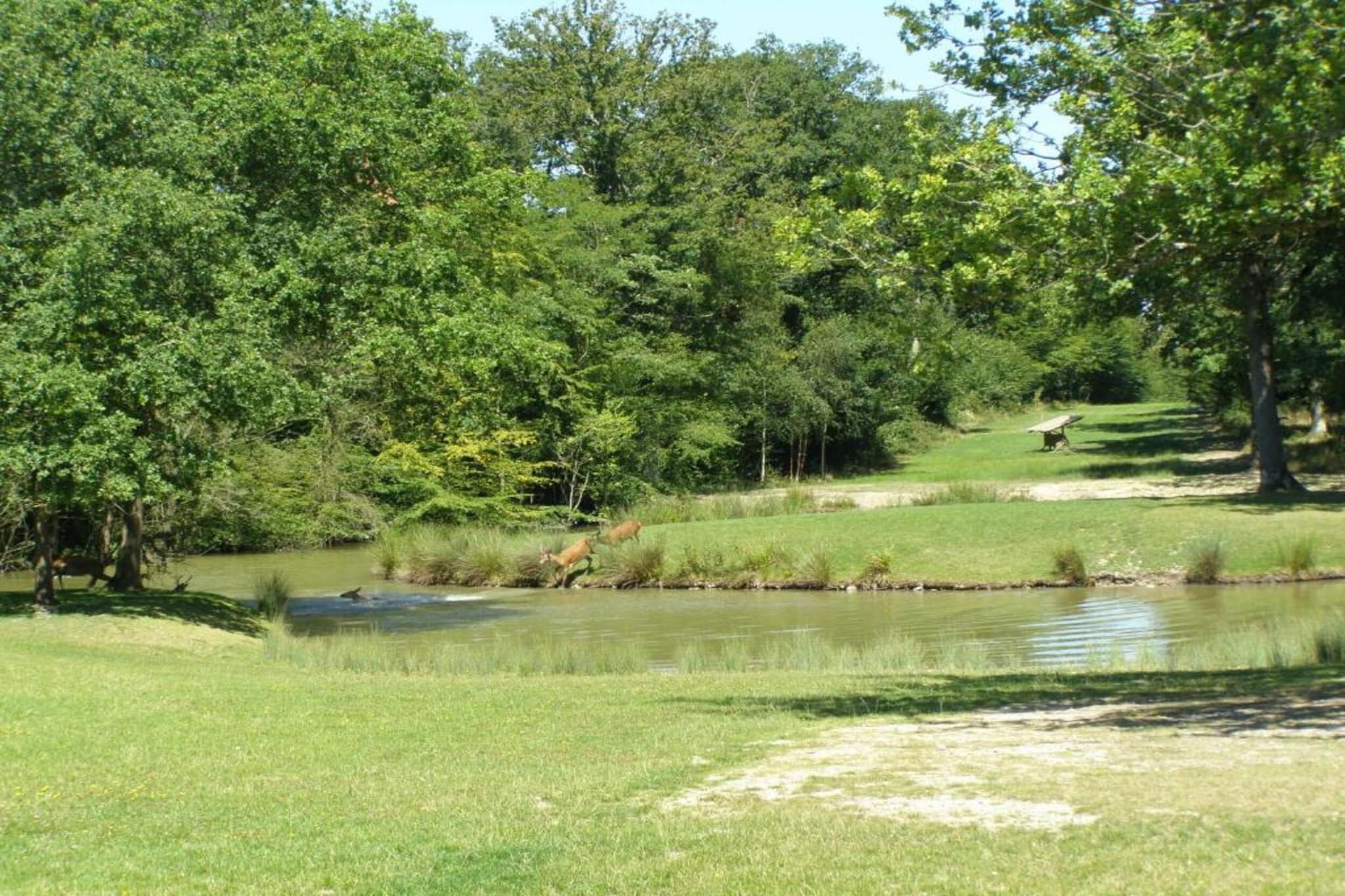 Maison de vacances - CHILLEURS-AUX-BOIS-Gebieden zomer 20km