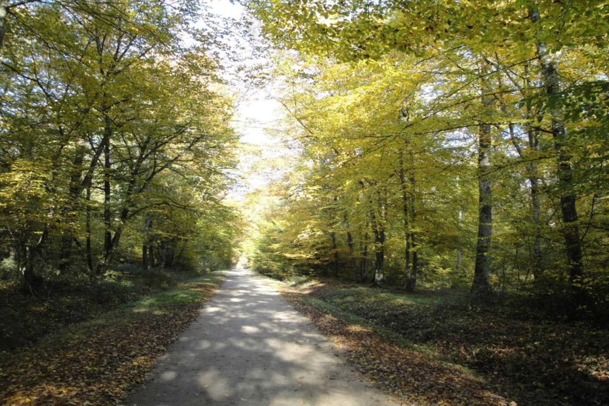 Maison de vacances - CHILLEURS-AUX-BOIS-Gebieden zomer 20km