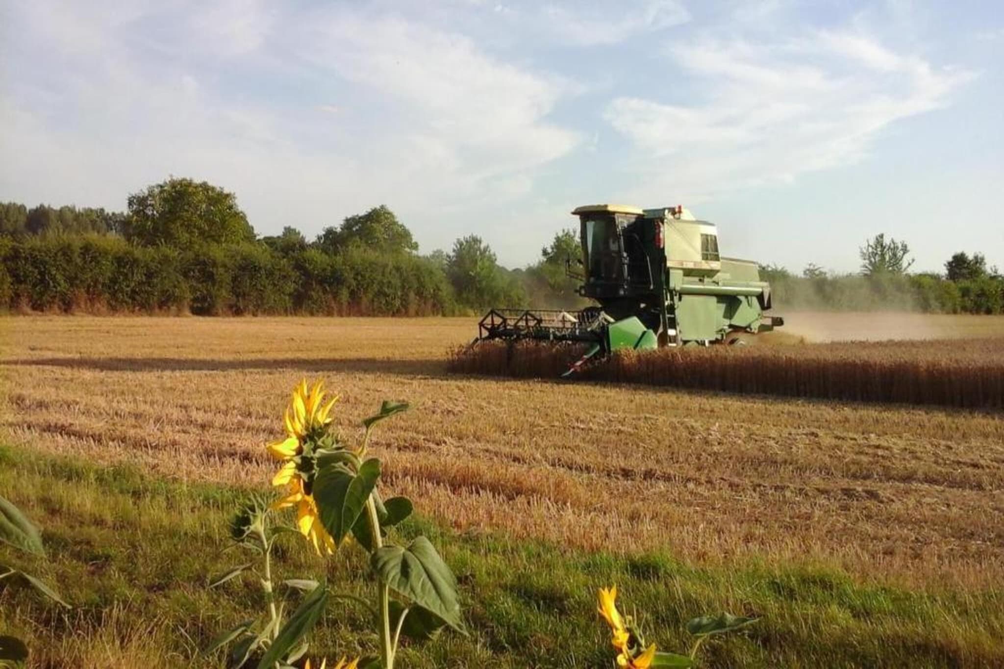 Maison de vacances - CHILLEURS-AUX-BOIS-Gebieden zomer 20km