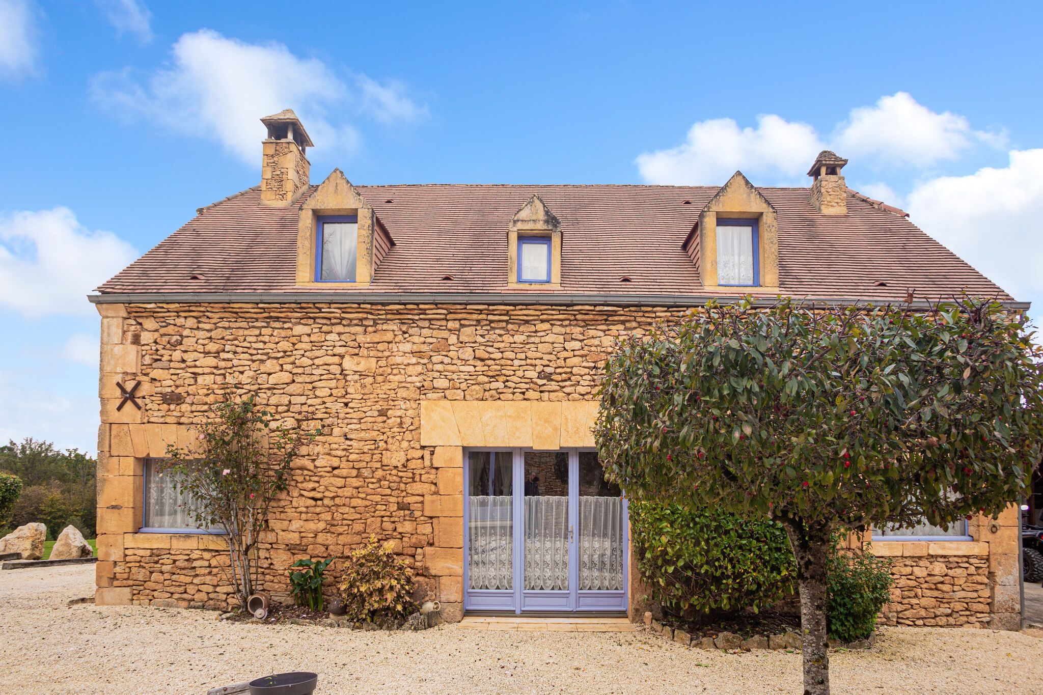 Stone Holiday Home with Private Pool near Les Eyzies