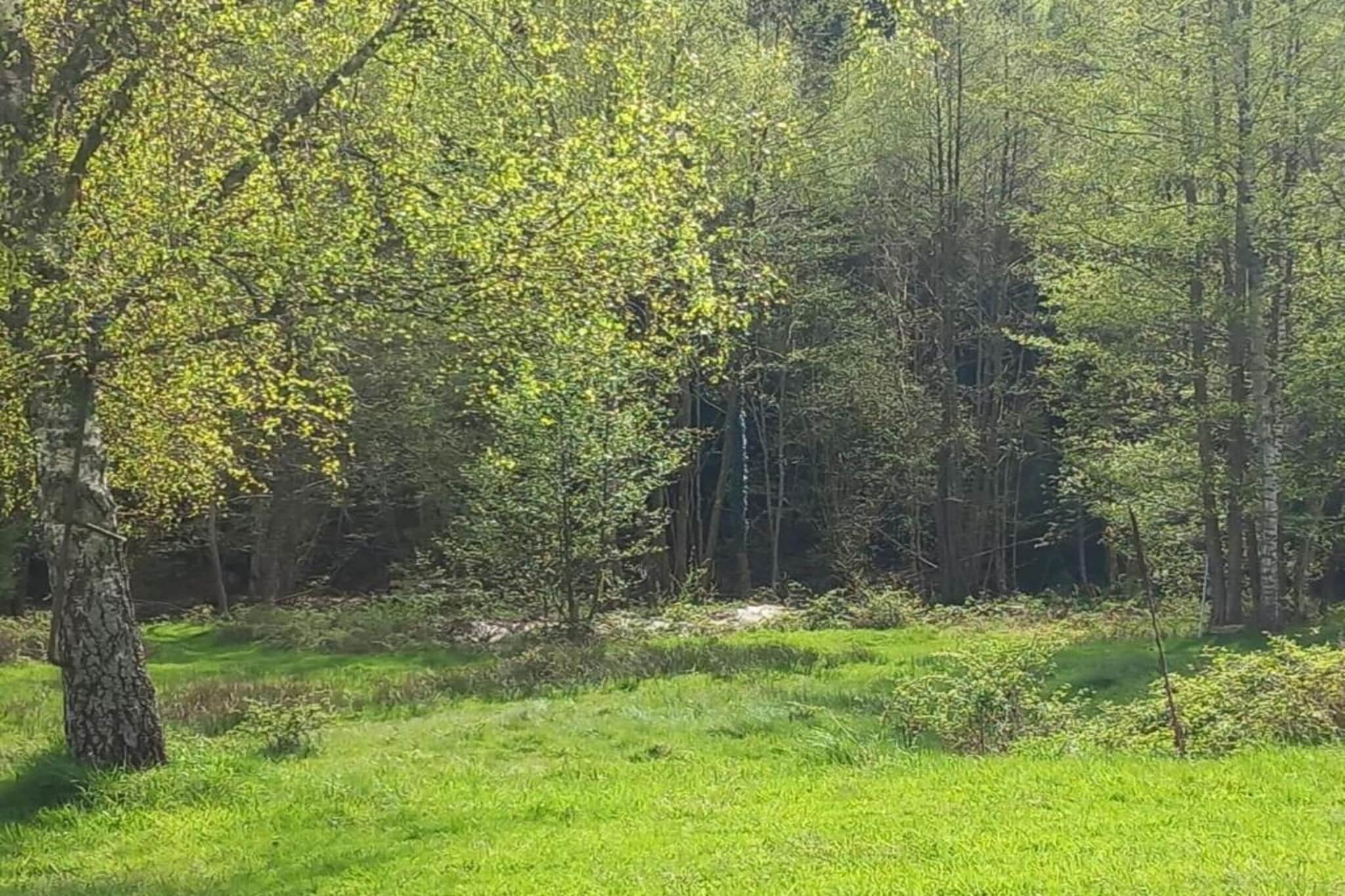 Chalet - TURQUESTEIN-Gebieden zomer 20km
