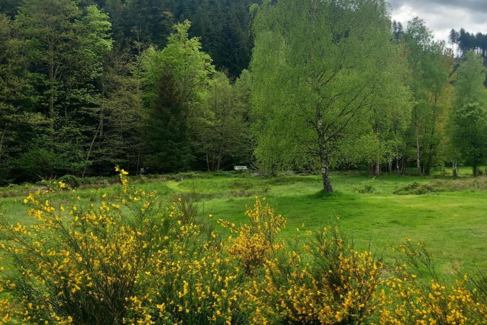 Chalet - TURQUESTEIN-Gebieden zomer 20km