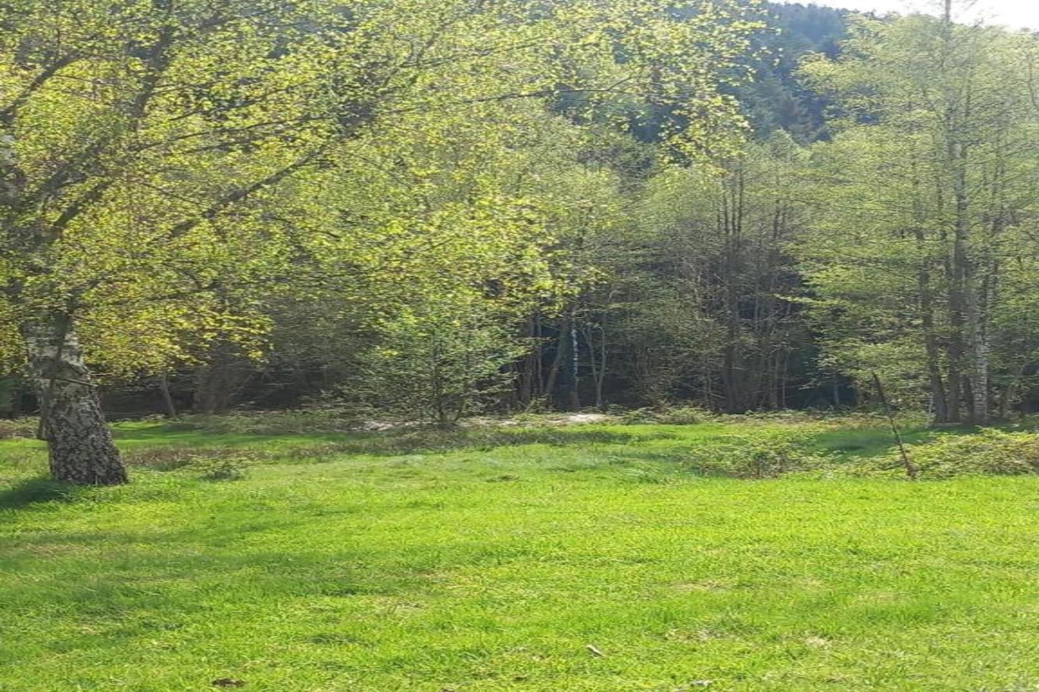Chalet - TURQUESTEIN-Gebieden zomer 20km