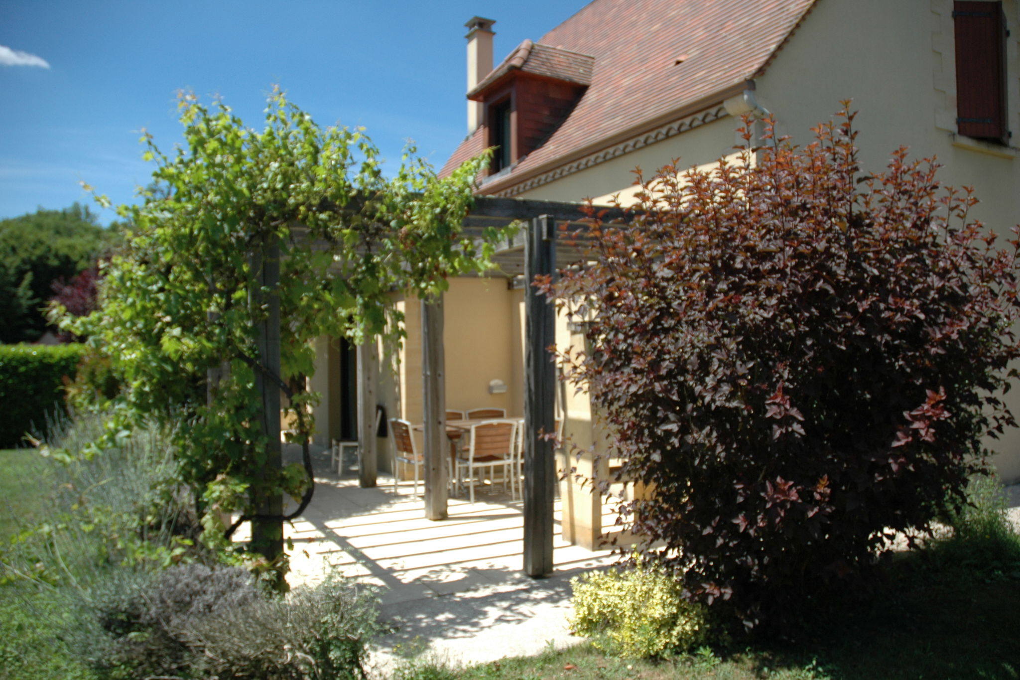 Quaint Holiday Home in Castelnaud-la-Chapelle with Terrace