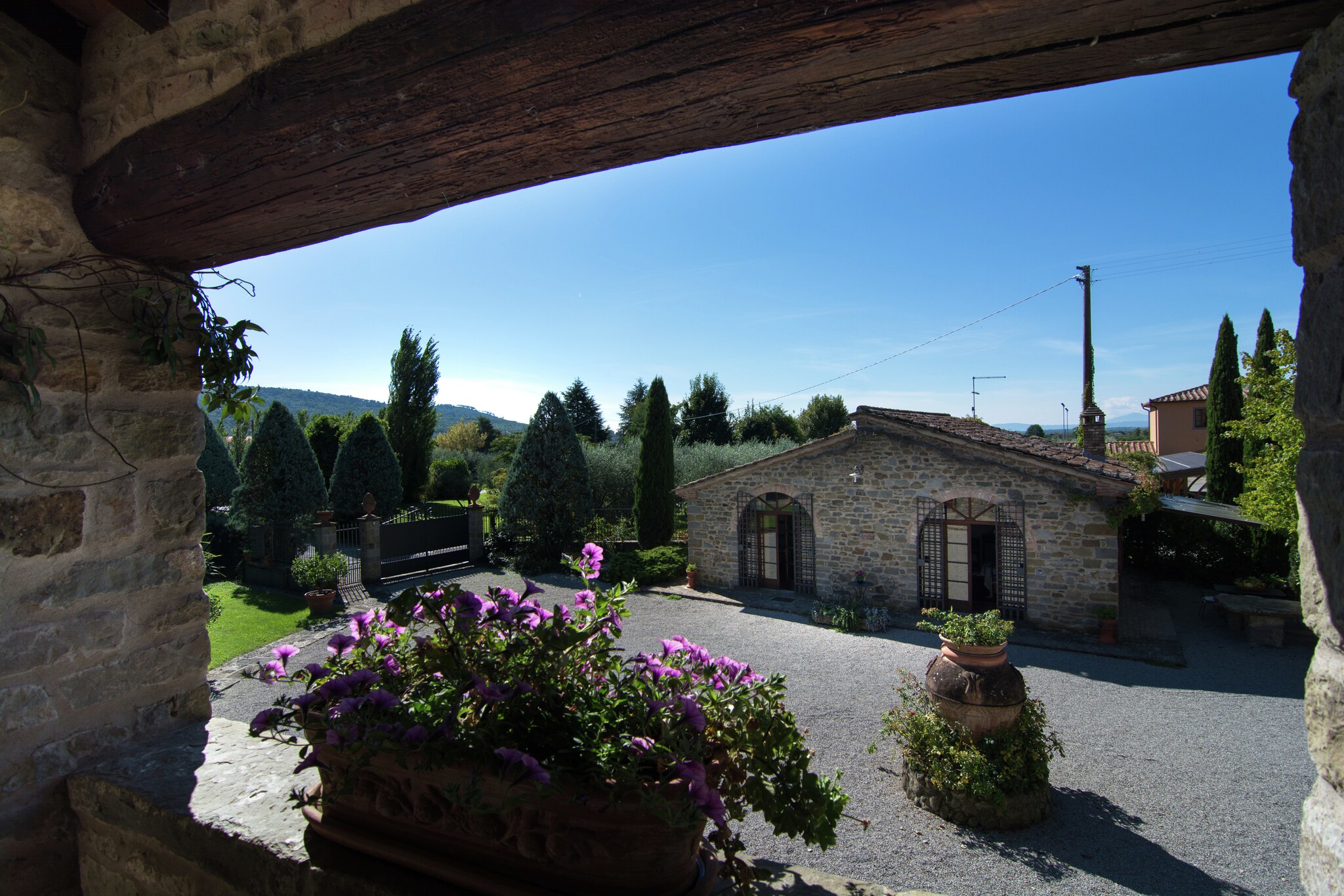 View Summer