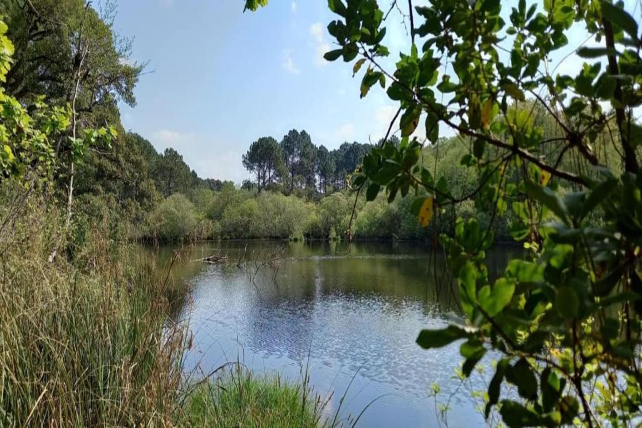 Villas du Club Royal Aquitaine 1-Gebieden zomer 20km