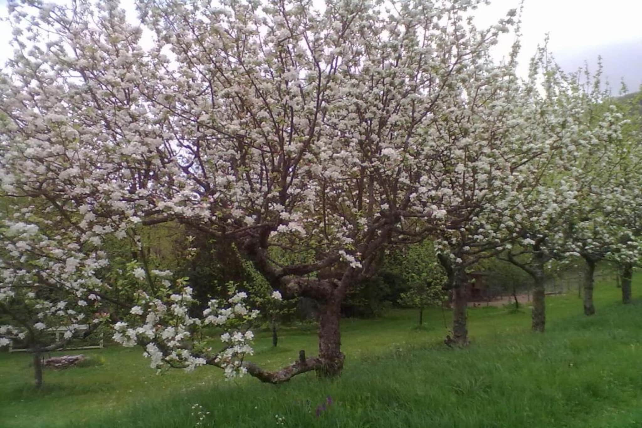 Royal Green Parc - Golf de Mazamet 1-Gebiete Sommer 5 km