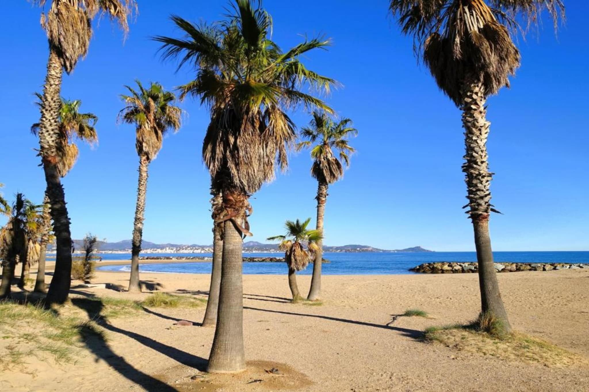 Domaine des Eucalyptus 3-Gebieden zomer 5km