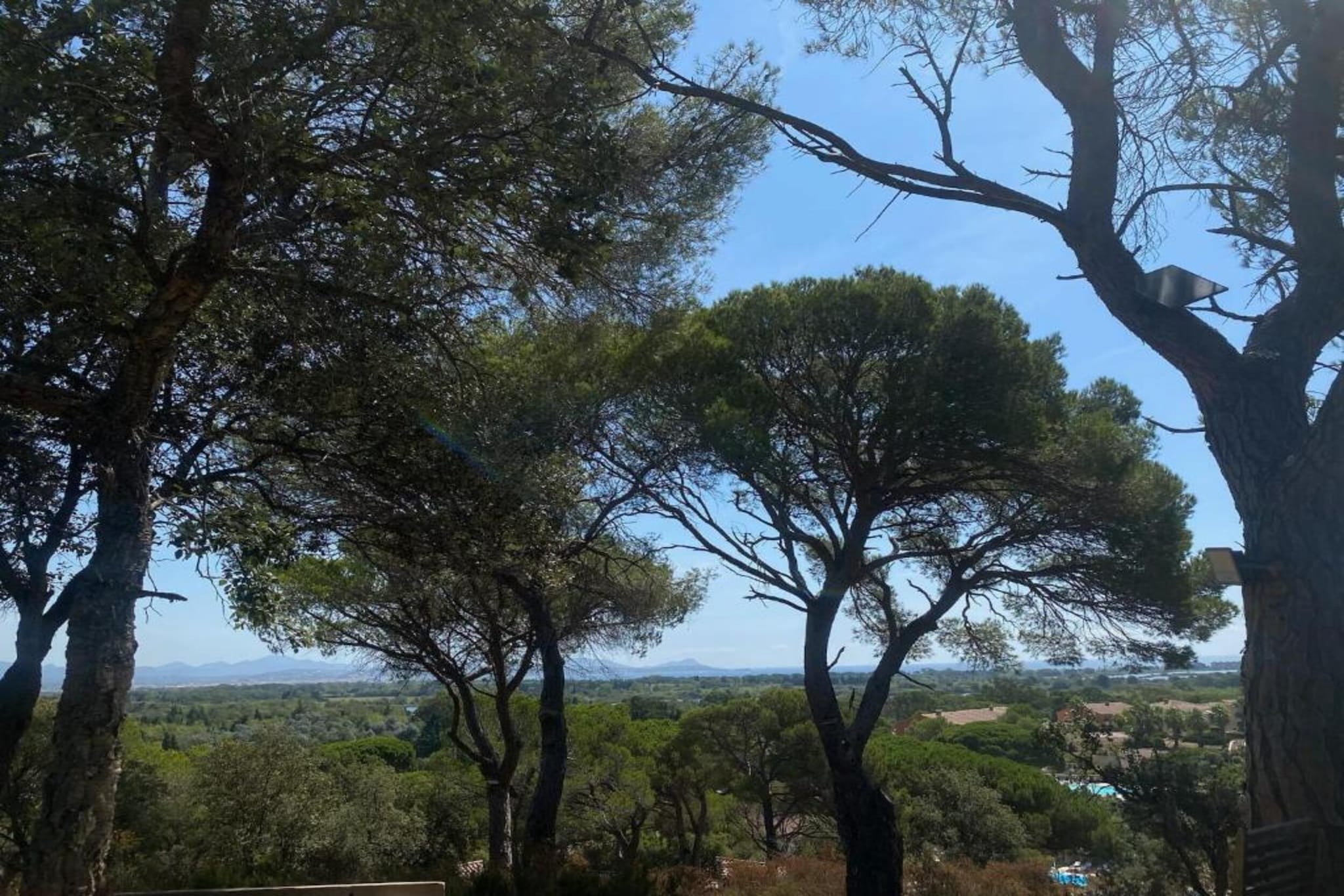 Domaine des Eucalyptus 1-Gebieden zomer 5km