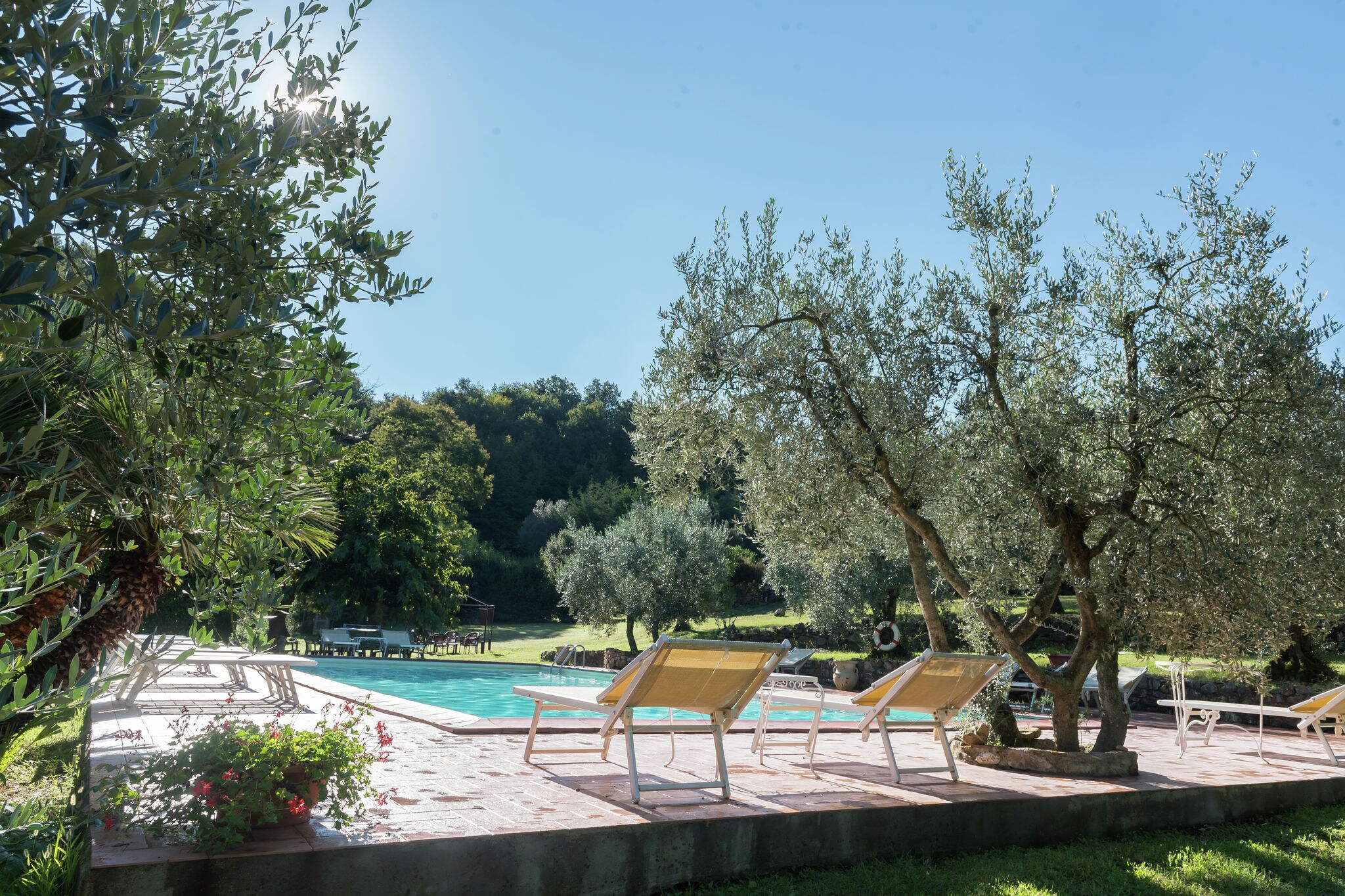 Maison de vacances typique avec piscine à Sasso Pisano