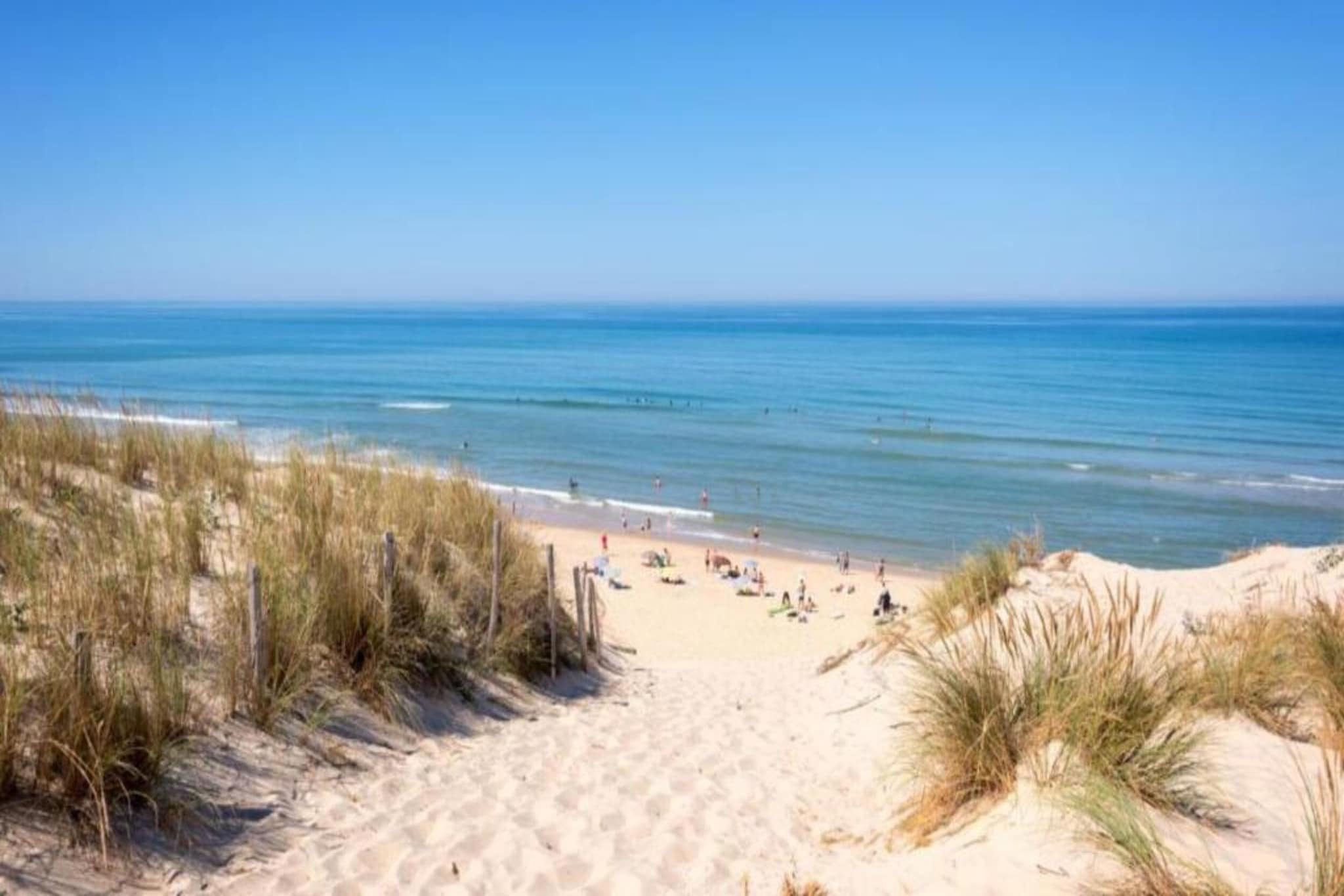 Atlantic Green 2-Gebiete Sommer 20 km