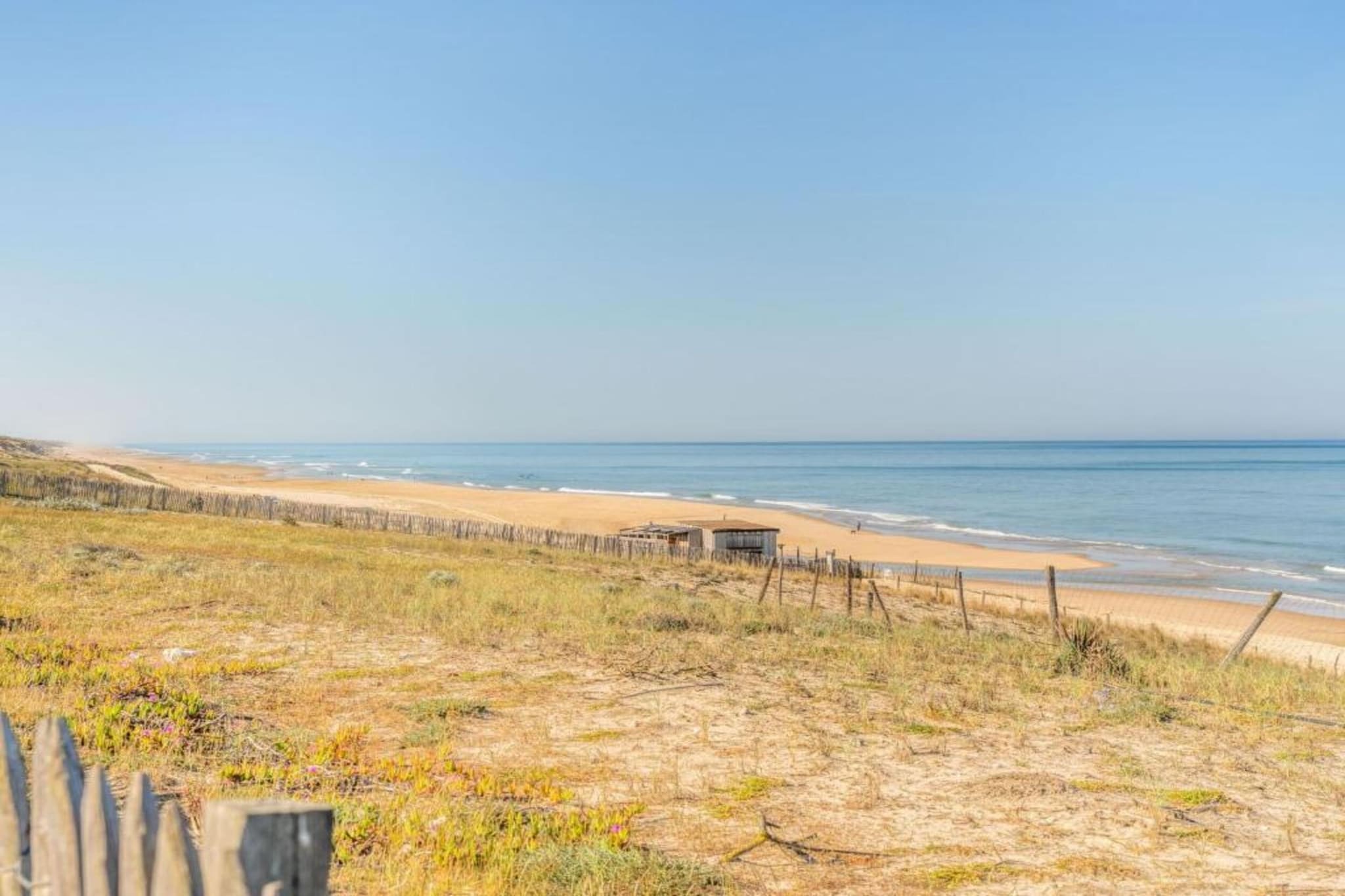 Atlantic Green 2-Gebiete Sommer 20 km