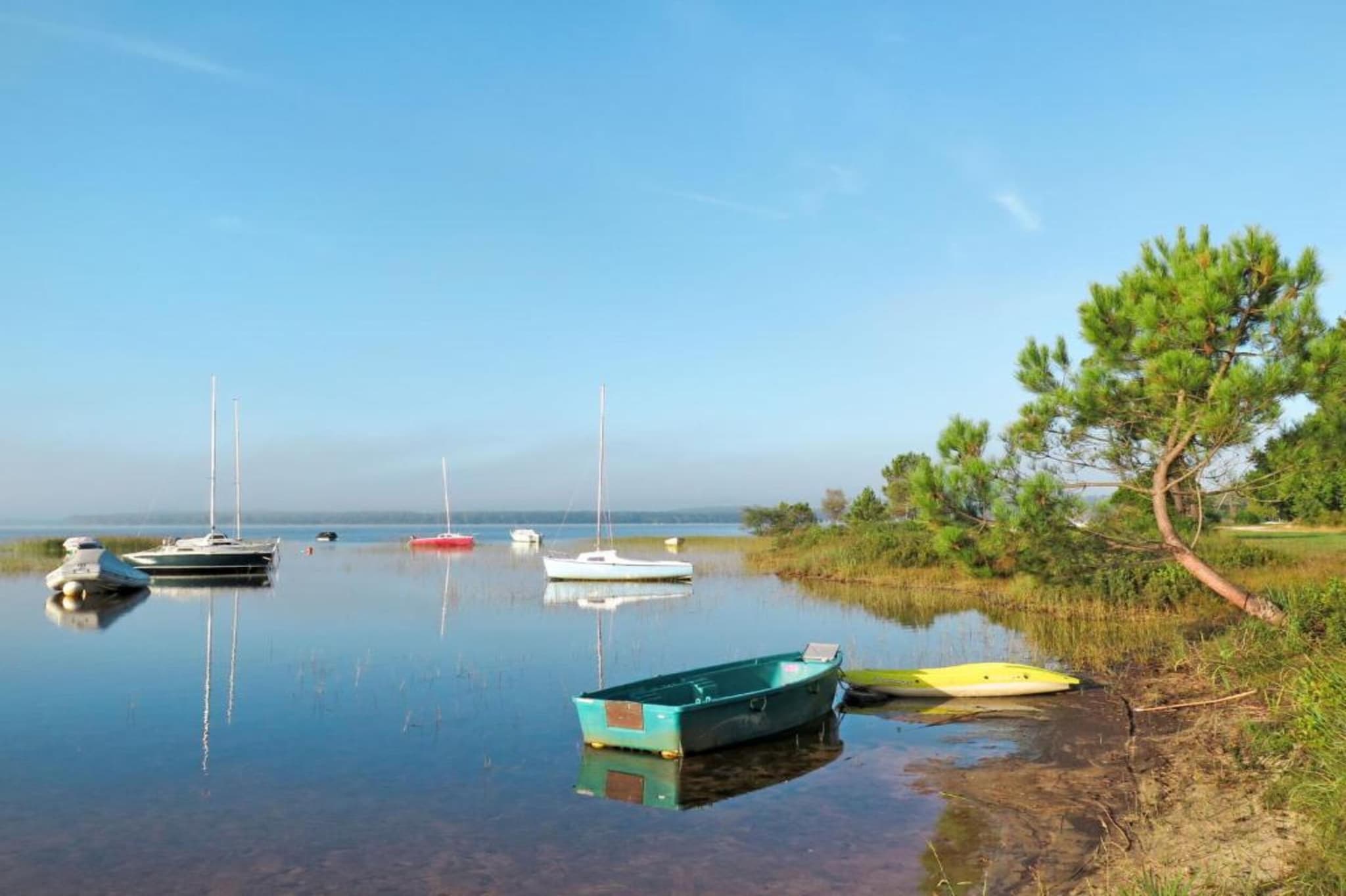 Atlantic Green 2-Gebiete Sommer 20 km