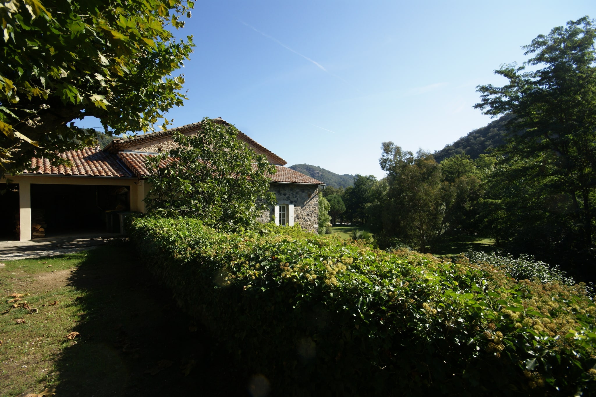 Garden Summer