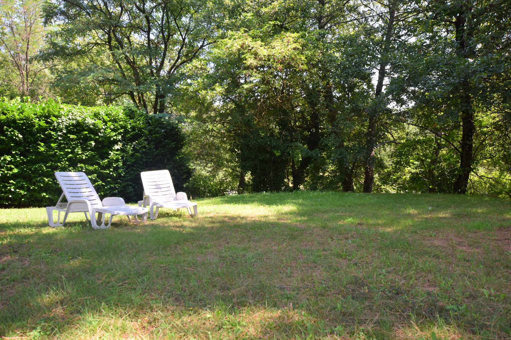 Garden Summer