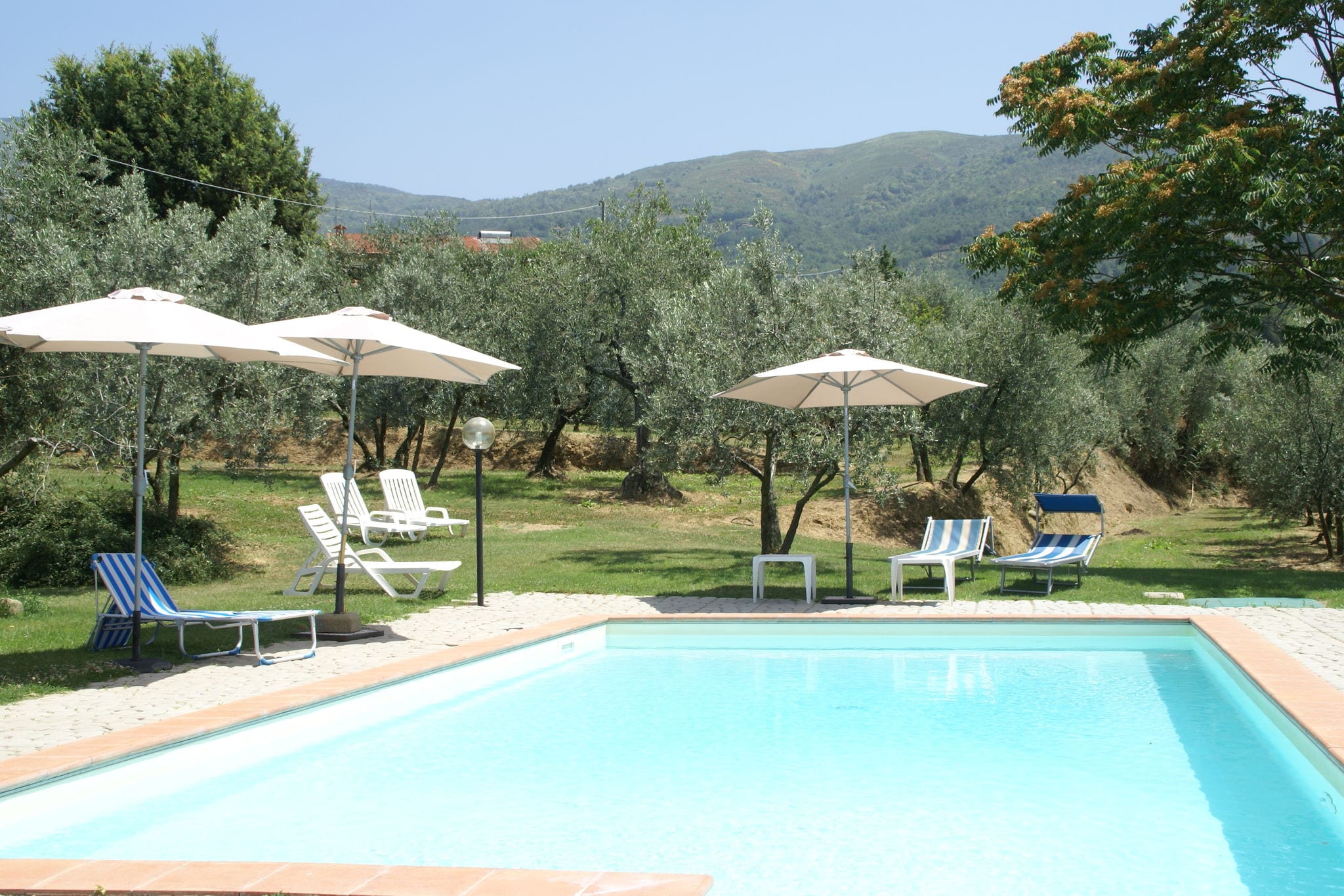 Appartement cosy à Castelfranco di Sopra, pelouse et piscine