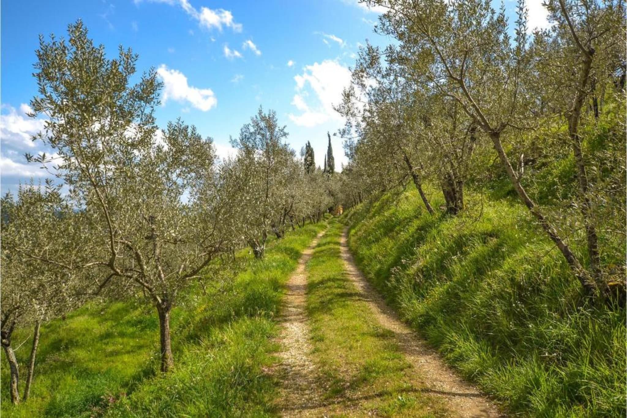 Podere Pulicciano Orciaia-Areas summer 5km