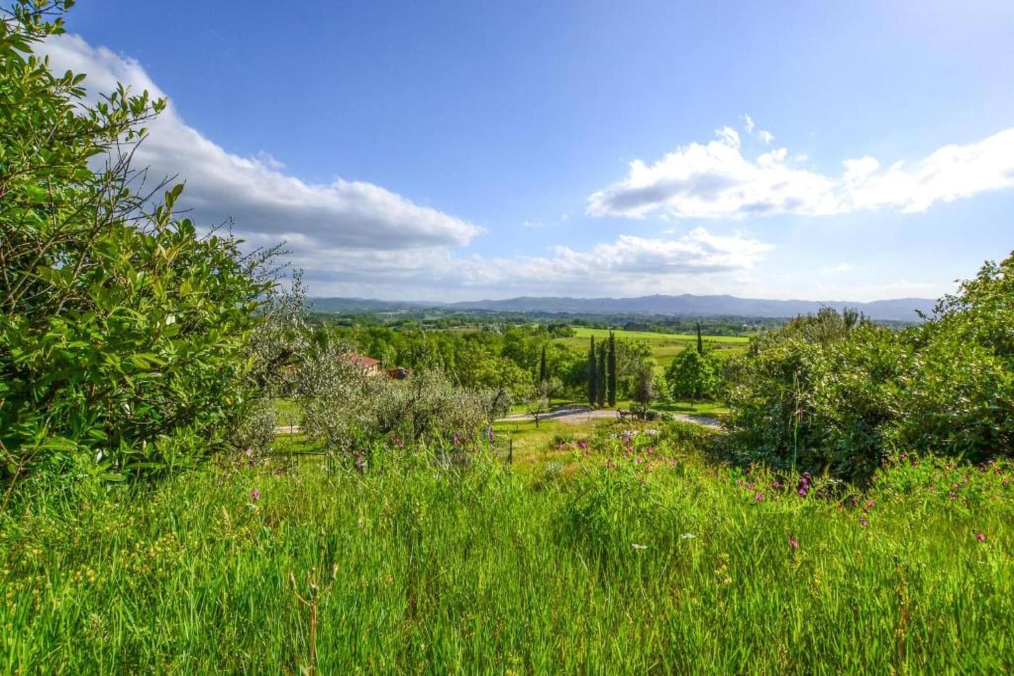 Podere Pulicciano Orciaia-Areas summer 5km