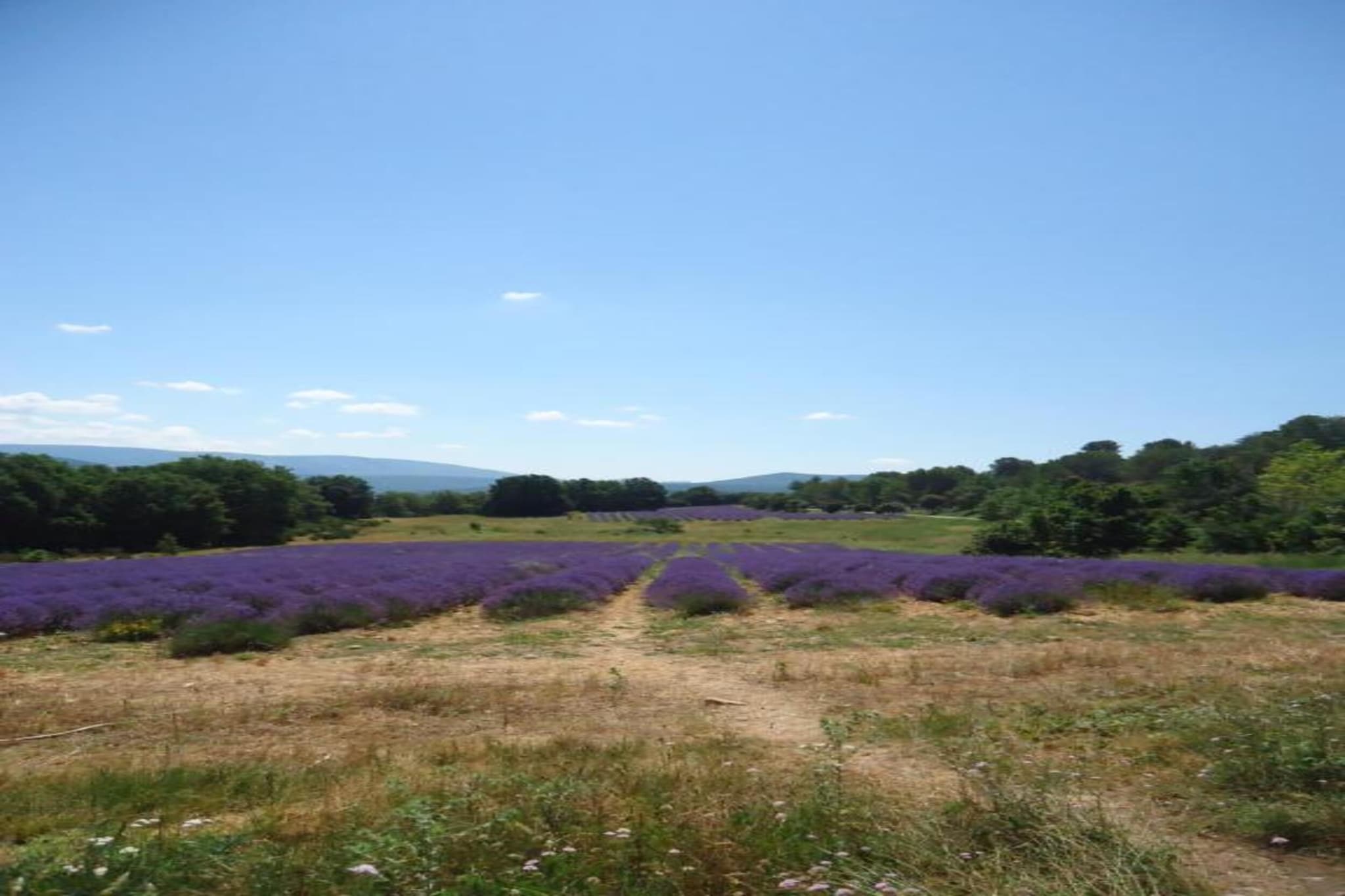 Villa Hyeres-Gebieden zomer 20km