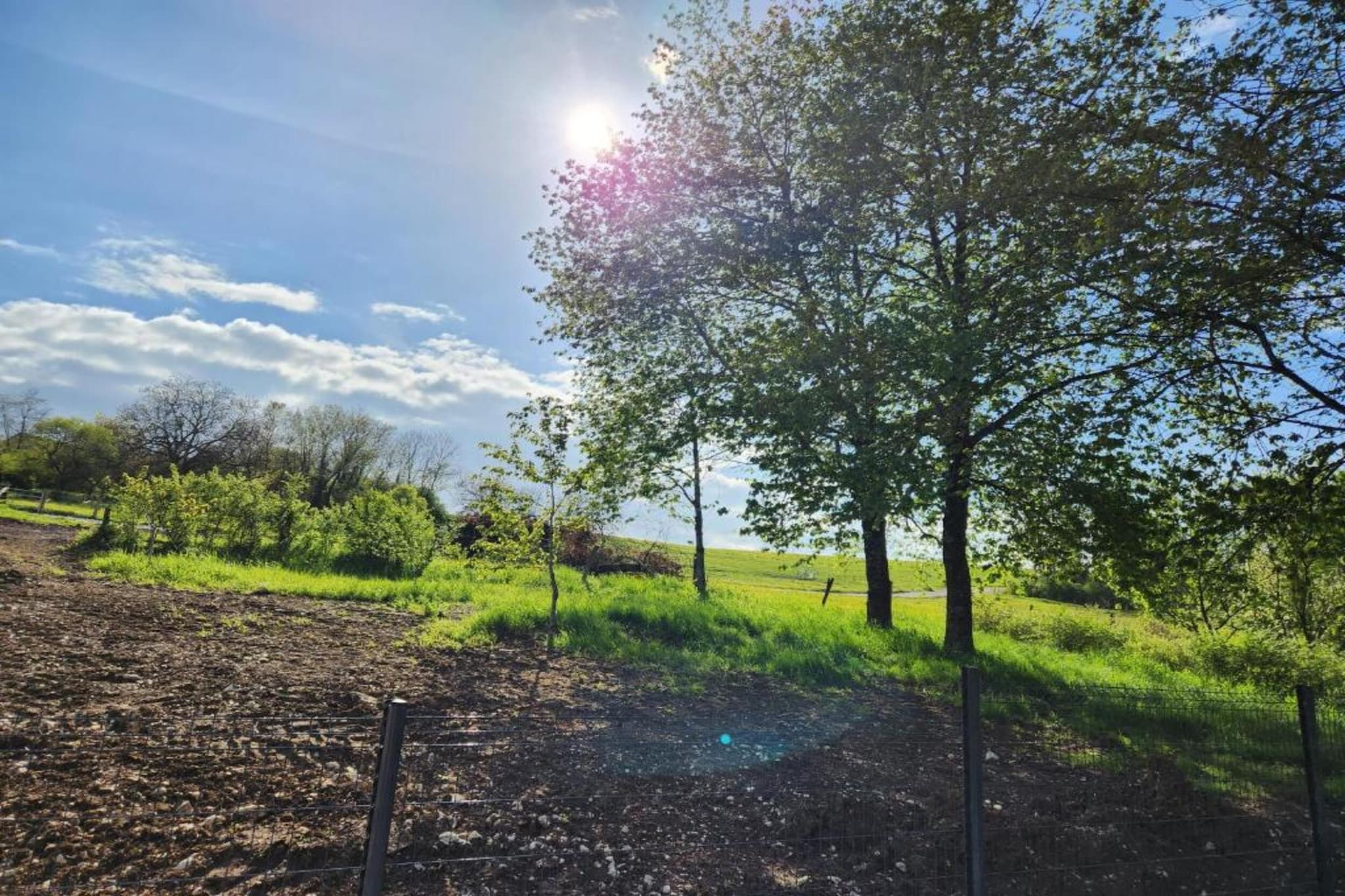 Maison de vacances - NETTANCOURT-Gebieden zomer 5km