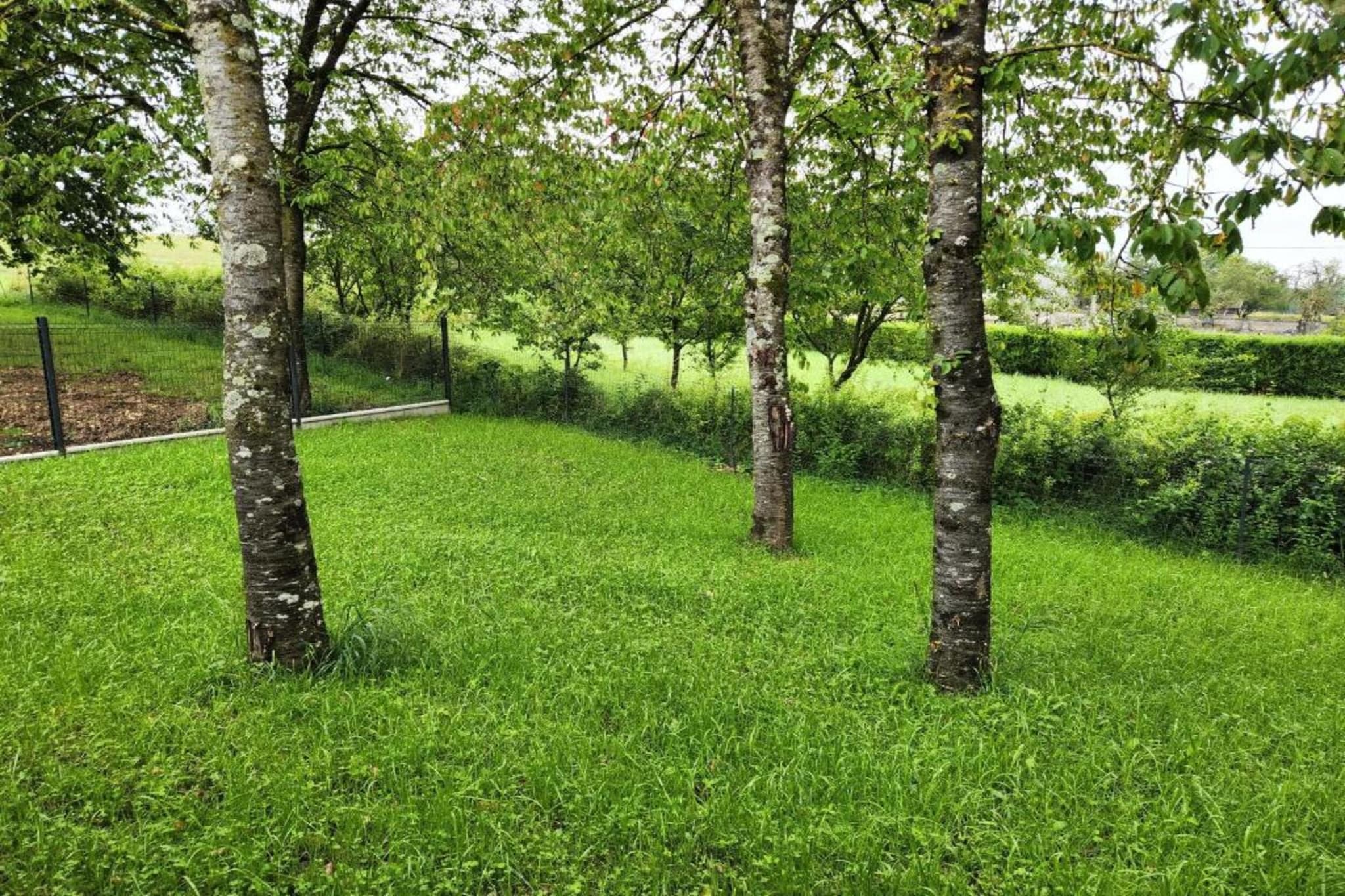 Maison de vacances - NETTANCOURT-Gebieden zomer 5km