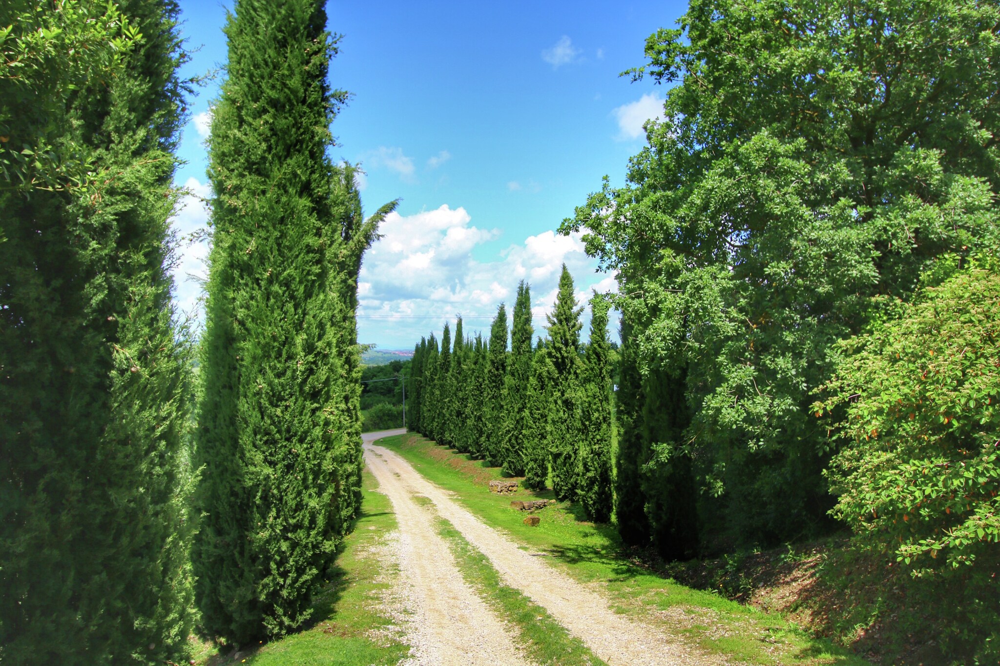 Casa Salcio-Gebieden zomer 1km