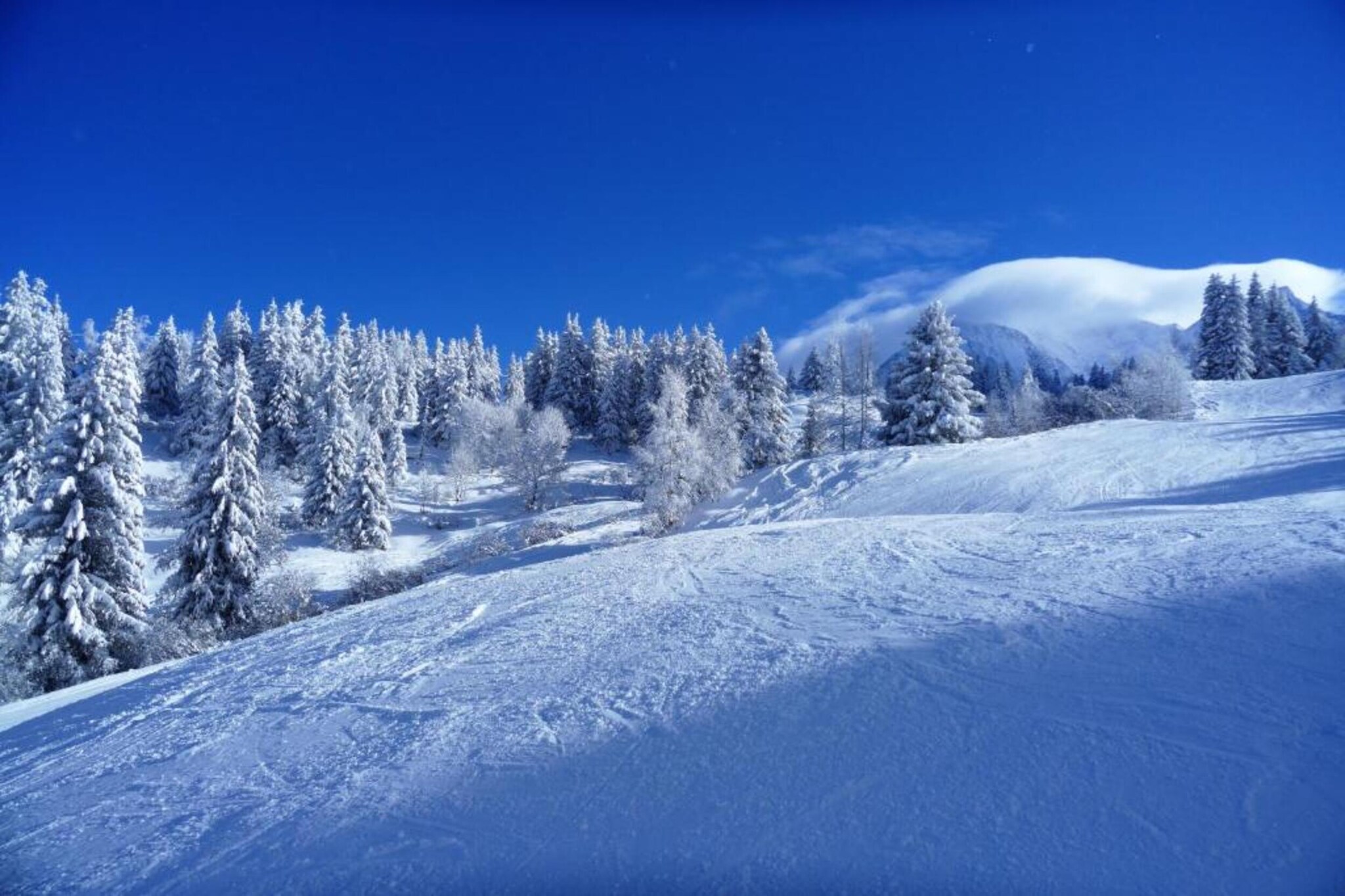 Chalet - LES HOUCHES-Gebieden zomer 5km